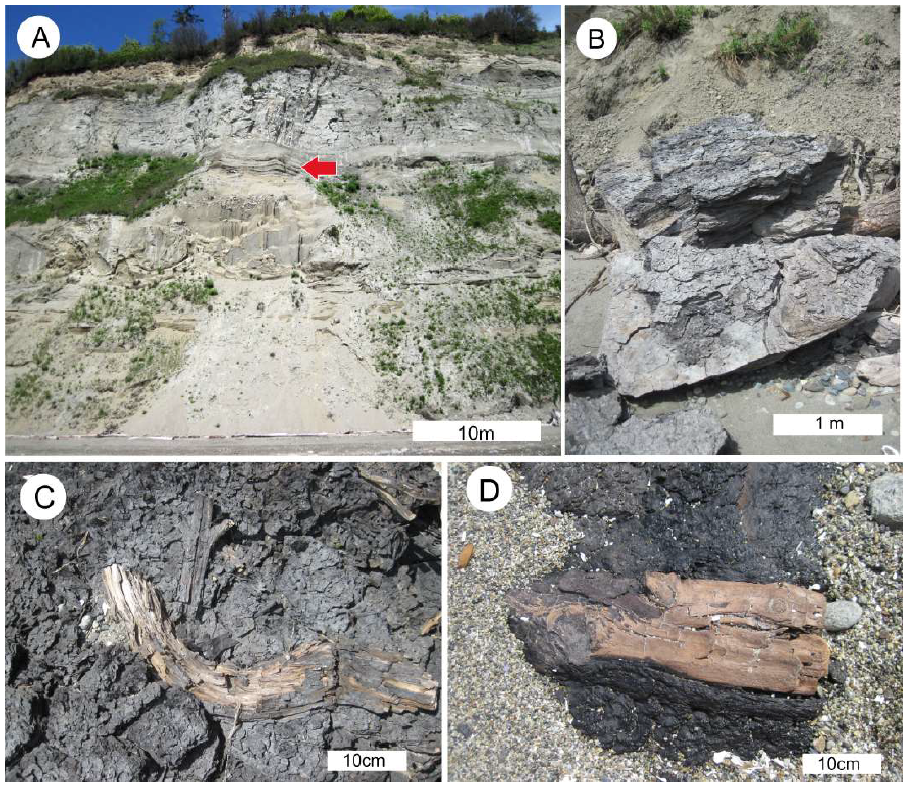 Geosciences 08 00223 g013