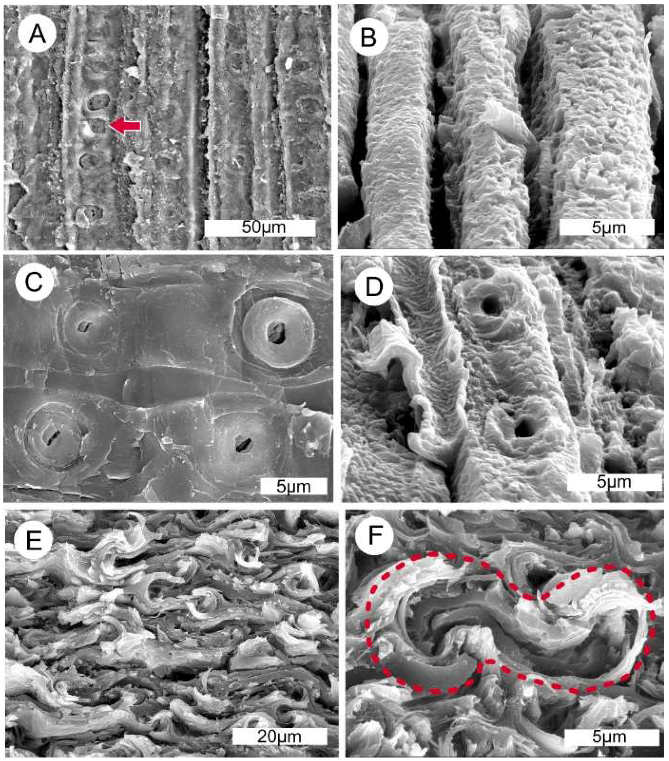 Geosciences 08 00223 g015
