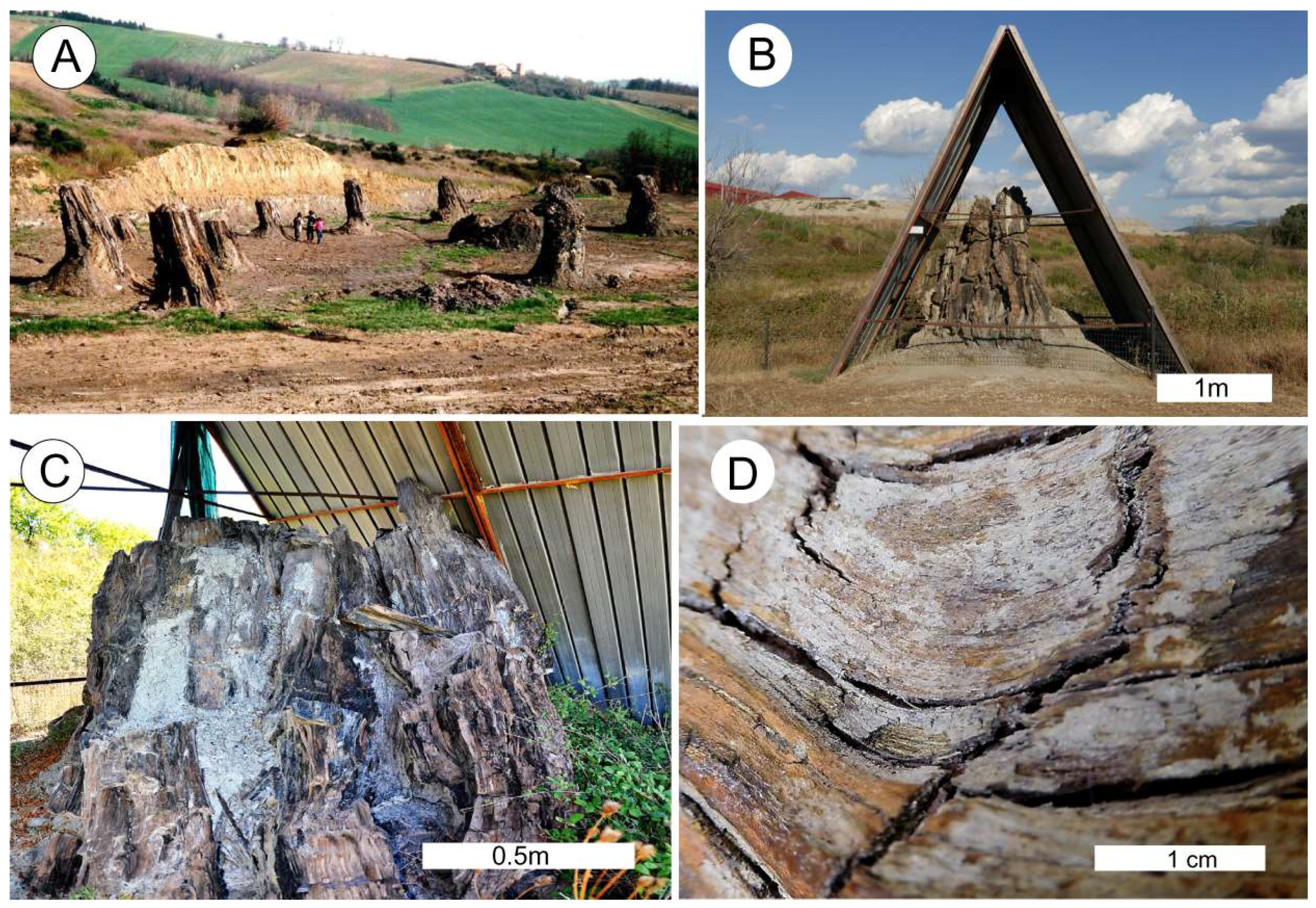 Geosciences 08 00223 g018