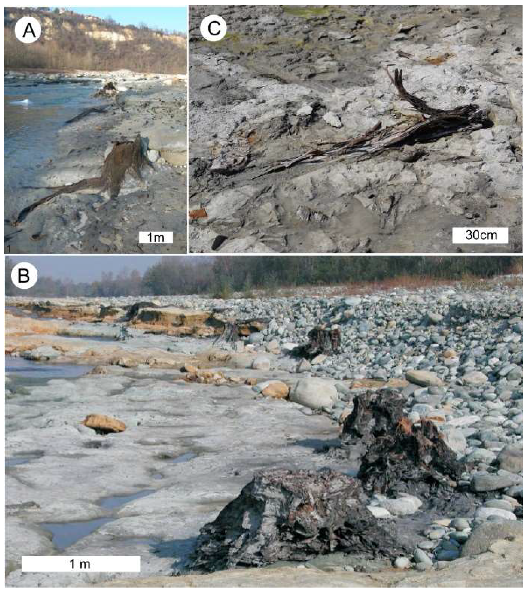 Geosciences 08 00223 g019