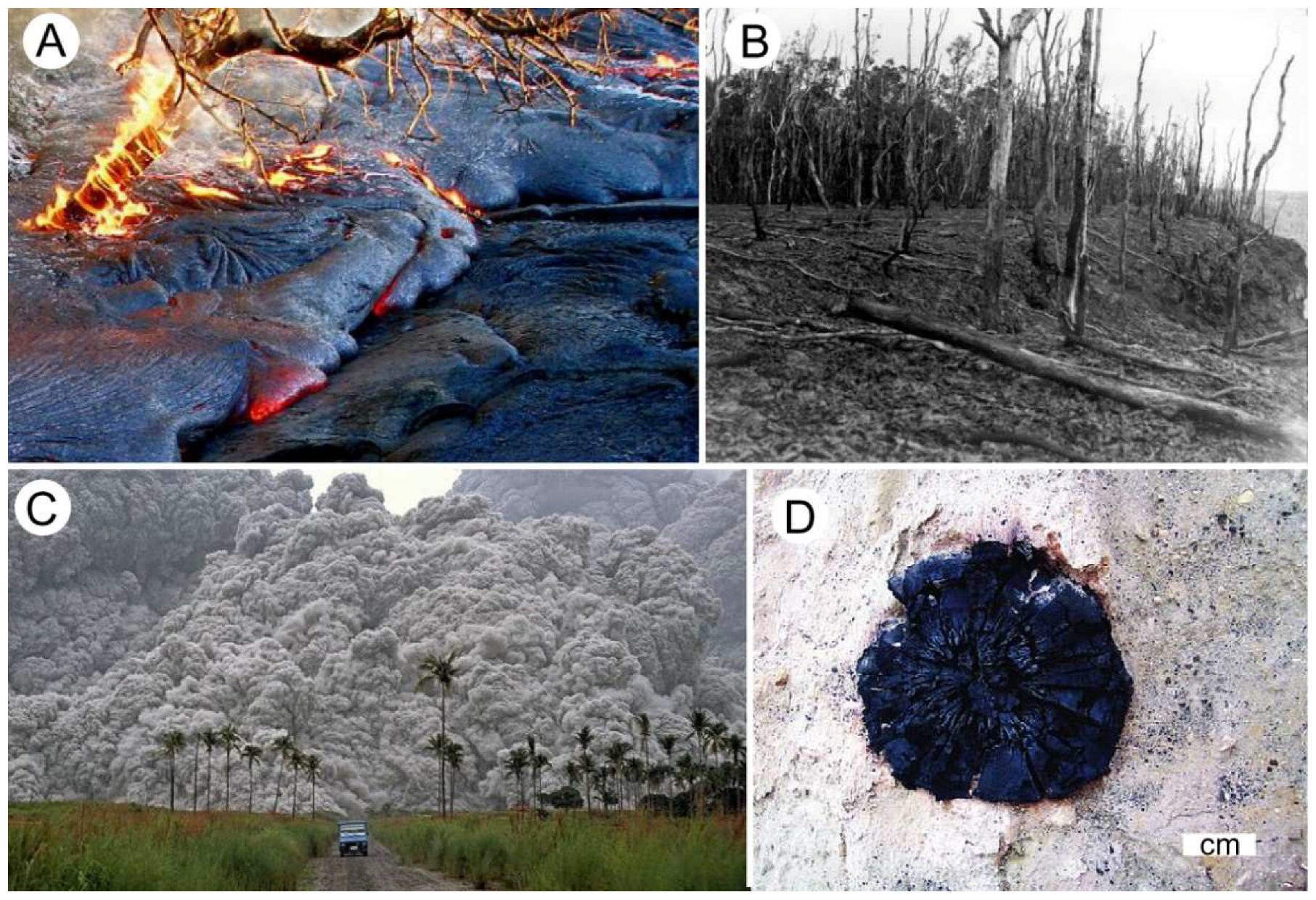 Geosciences 08 00223 g021