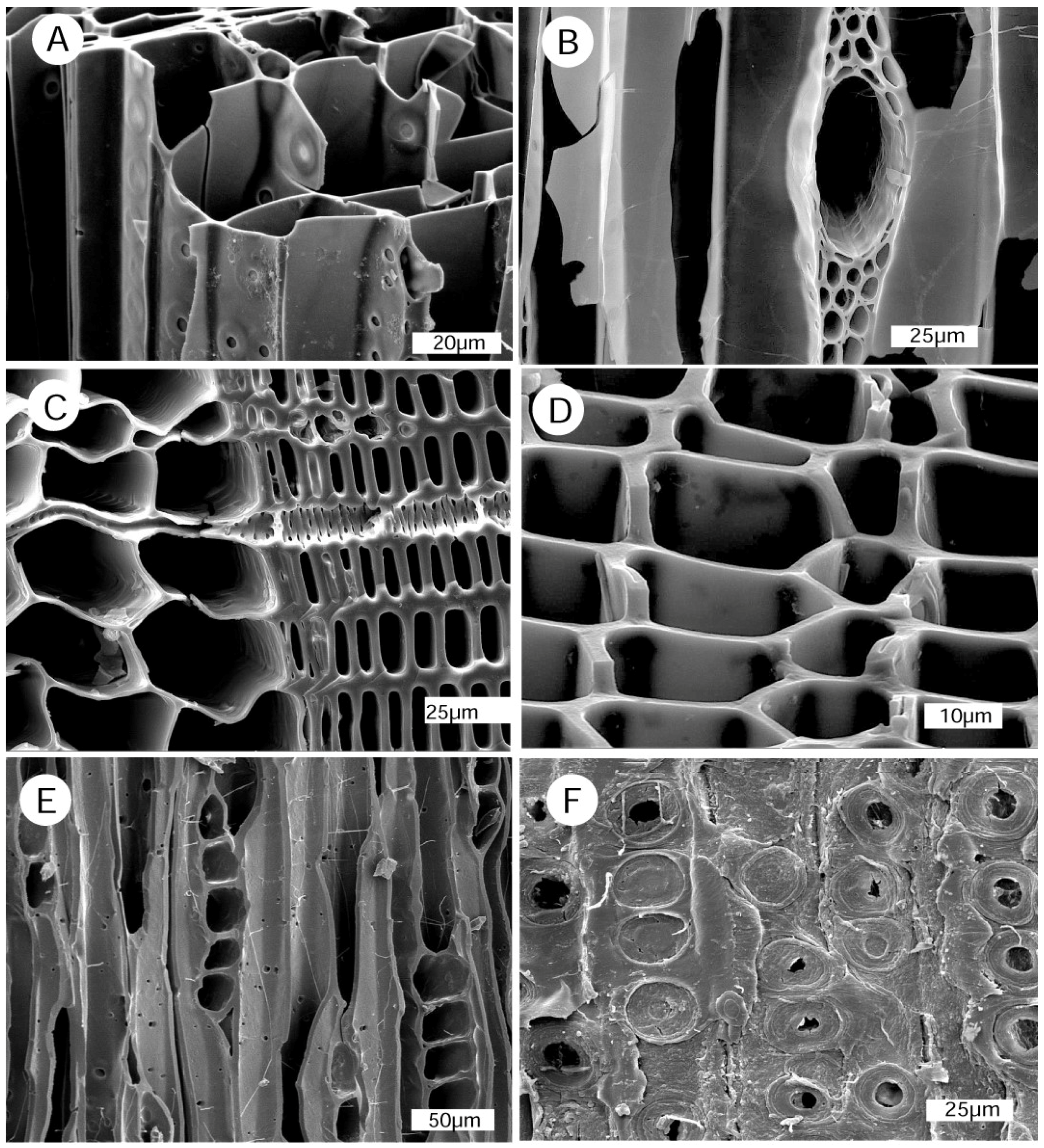 Geosciences 08 00223 g022