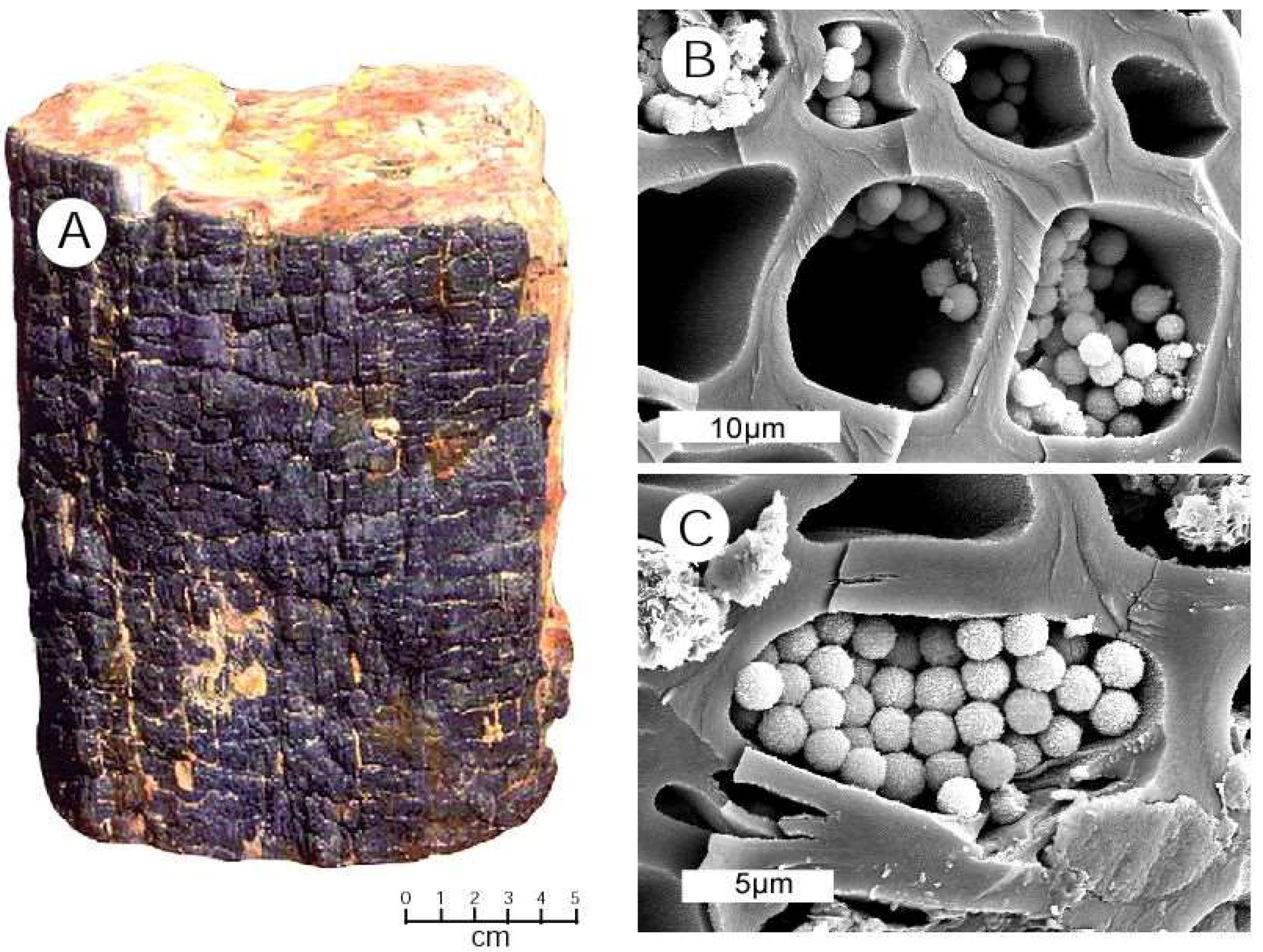 Geosciences 08 00223 g023
