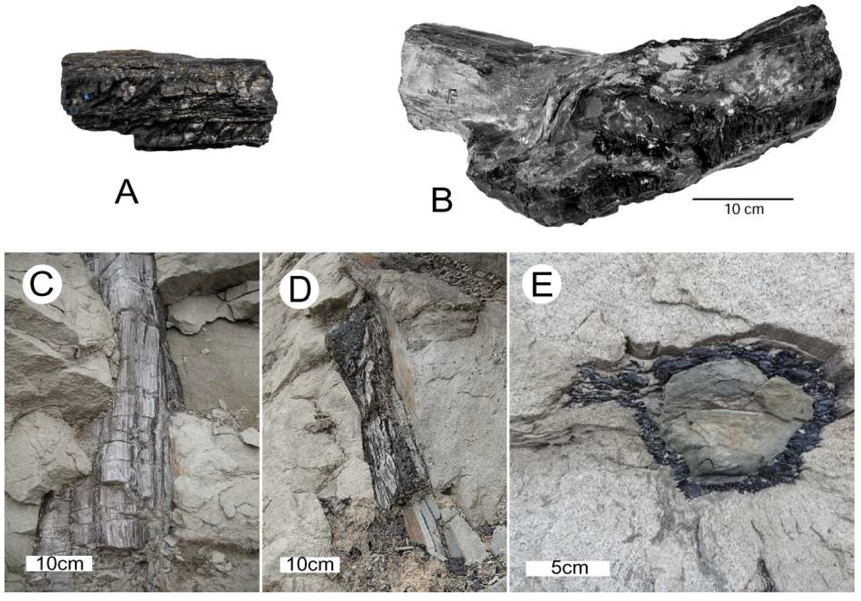 Geosciences 08 00223 g024