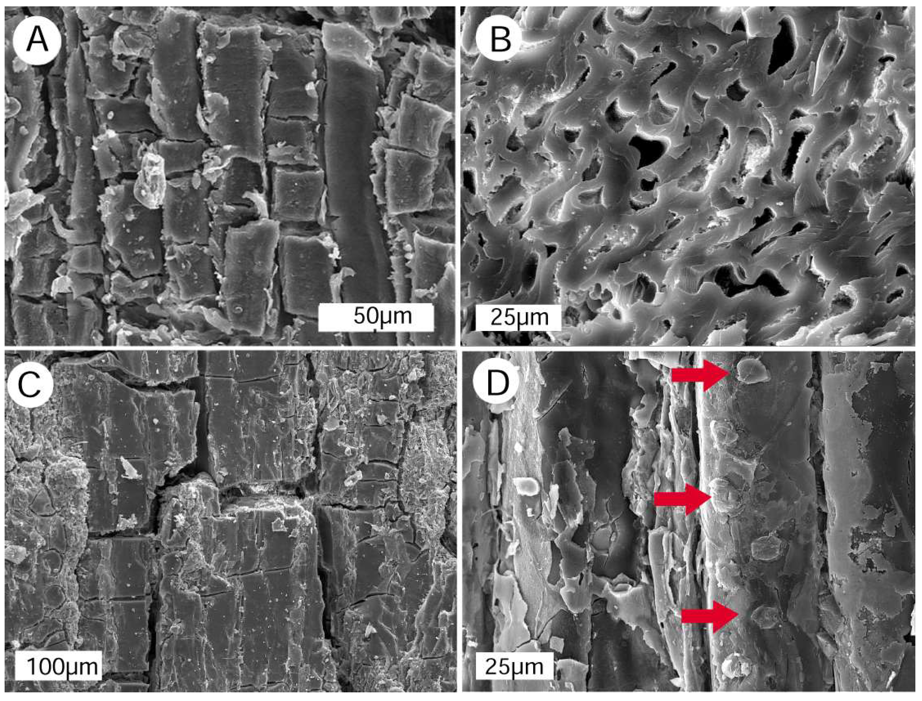 Geosciences 08 00223 g025