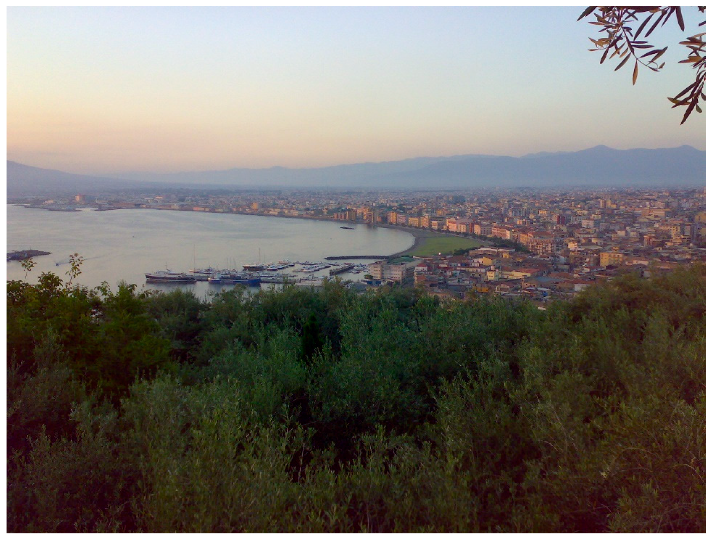 Geosciences 08 00235 g009