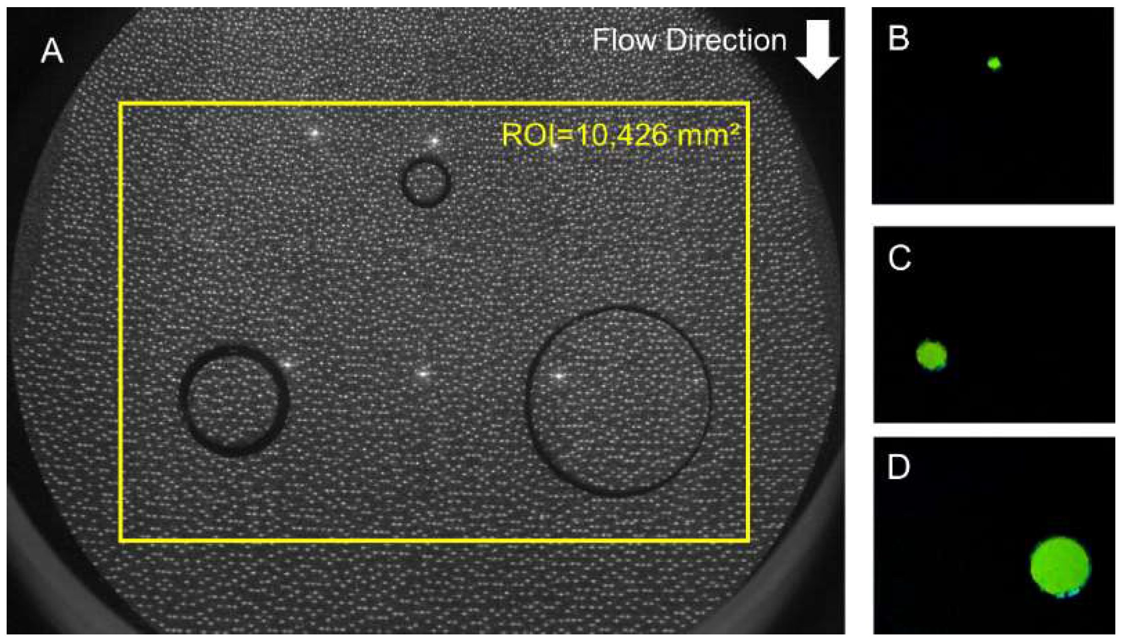 Geosciences 08 00243 g002