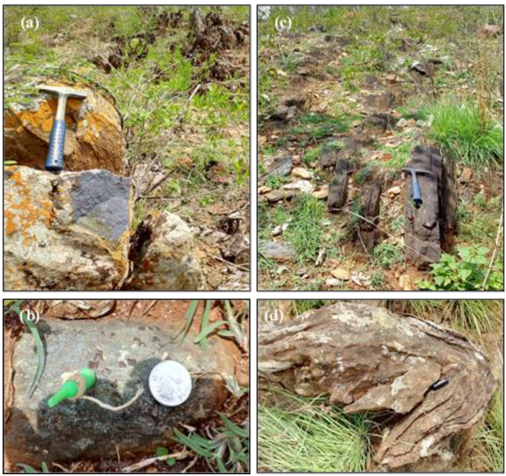 Geosciences 08 00248 g002