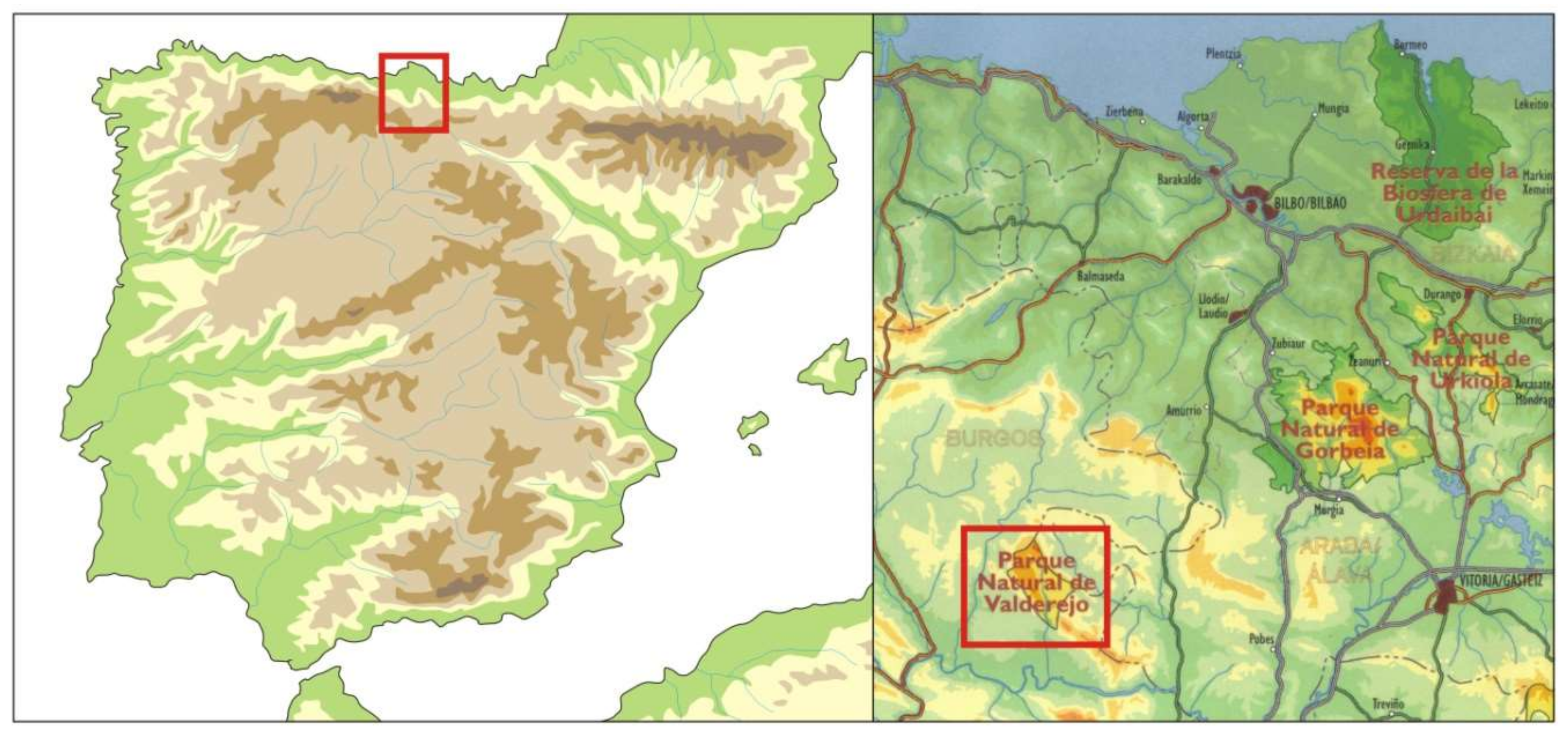 Geosciences 08 00250 g001