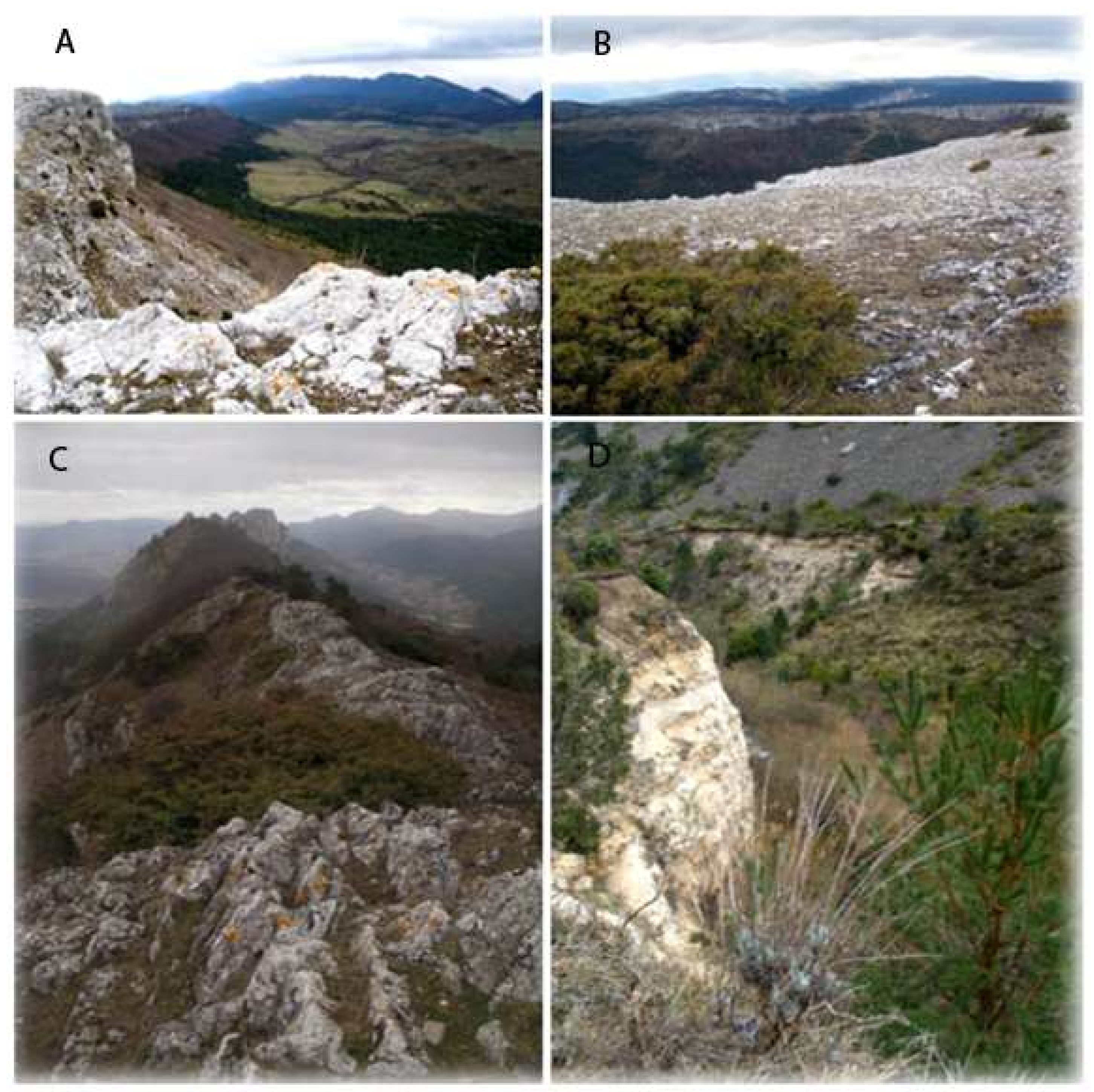 Geosciences 08 00250 g002
