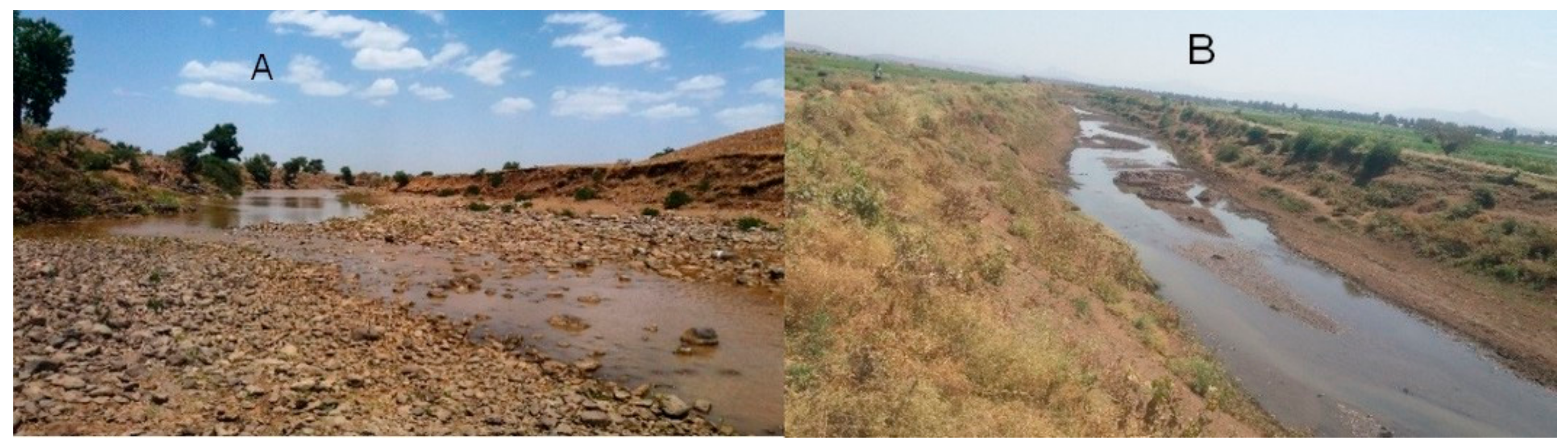 Geosciences 08 00255 g006