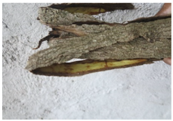 Geosciences 08 00277 i002