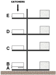 Geosciences 08 00284 i002 Geosciences 08 00284 i002