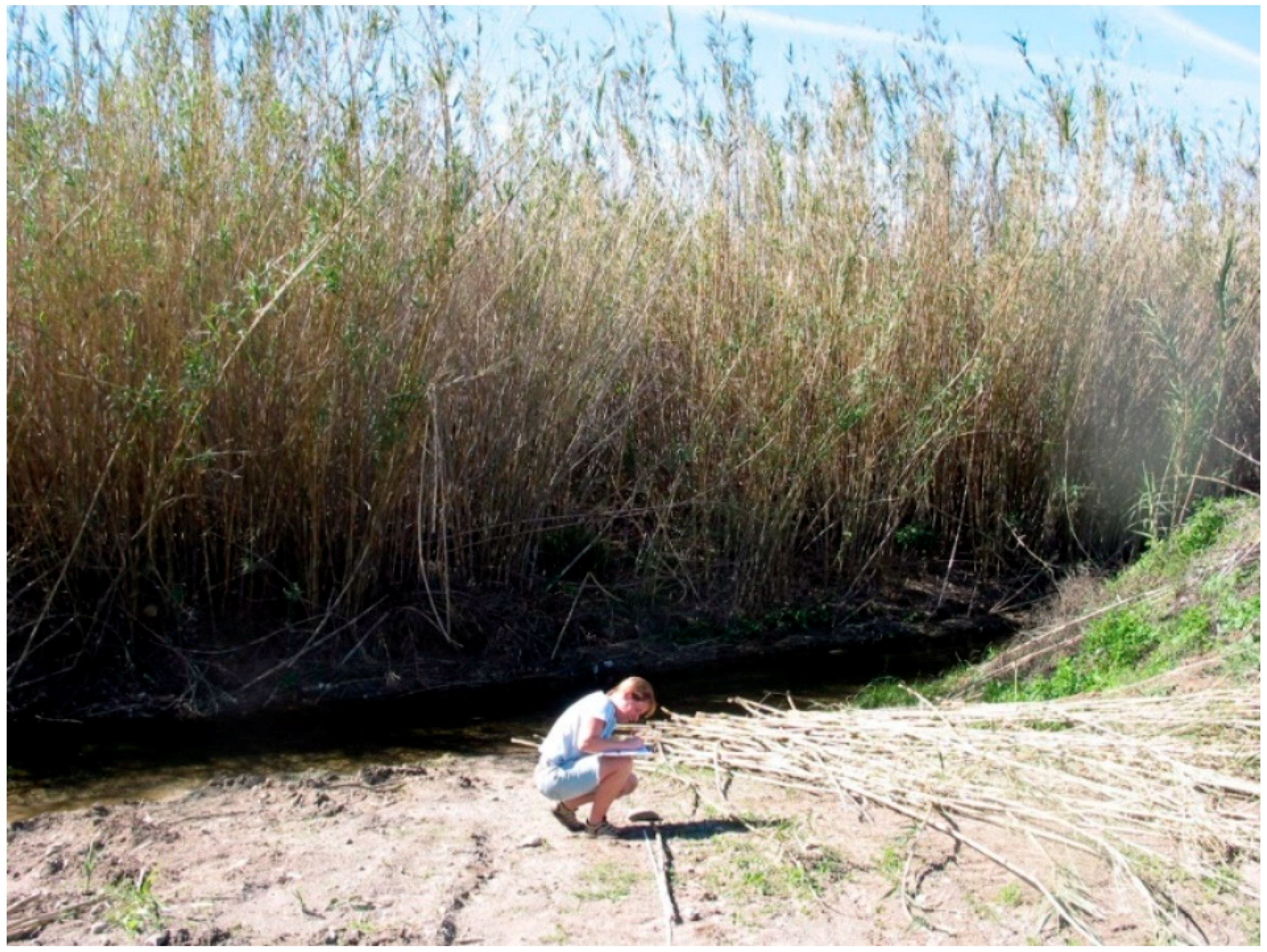 Geosciences 08 00304 g002