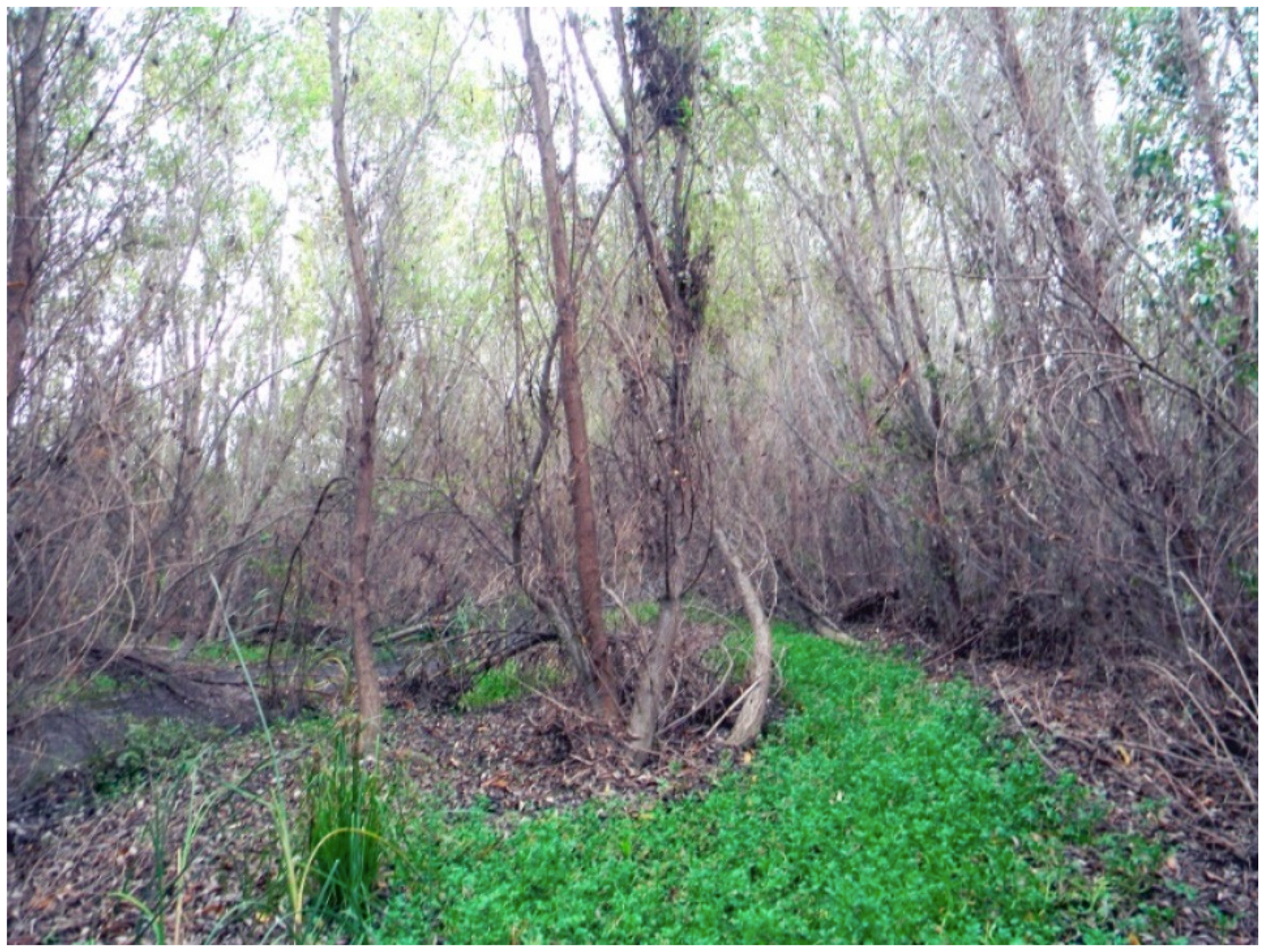 Geosciences 08 00304 g003