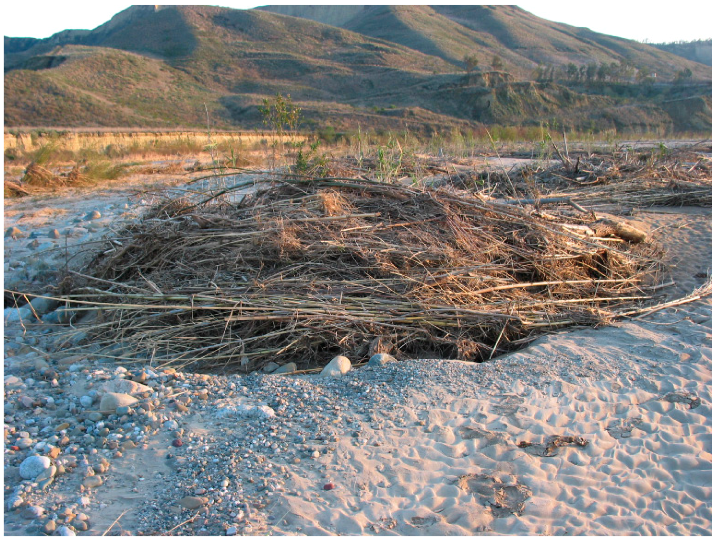 Geosciences 08 00304 g004