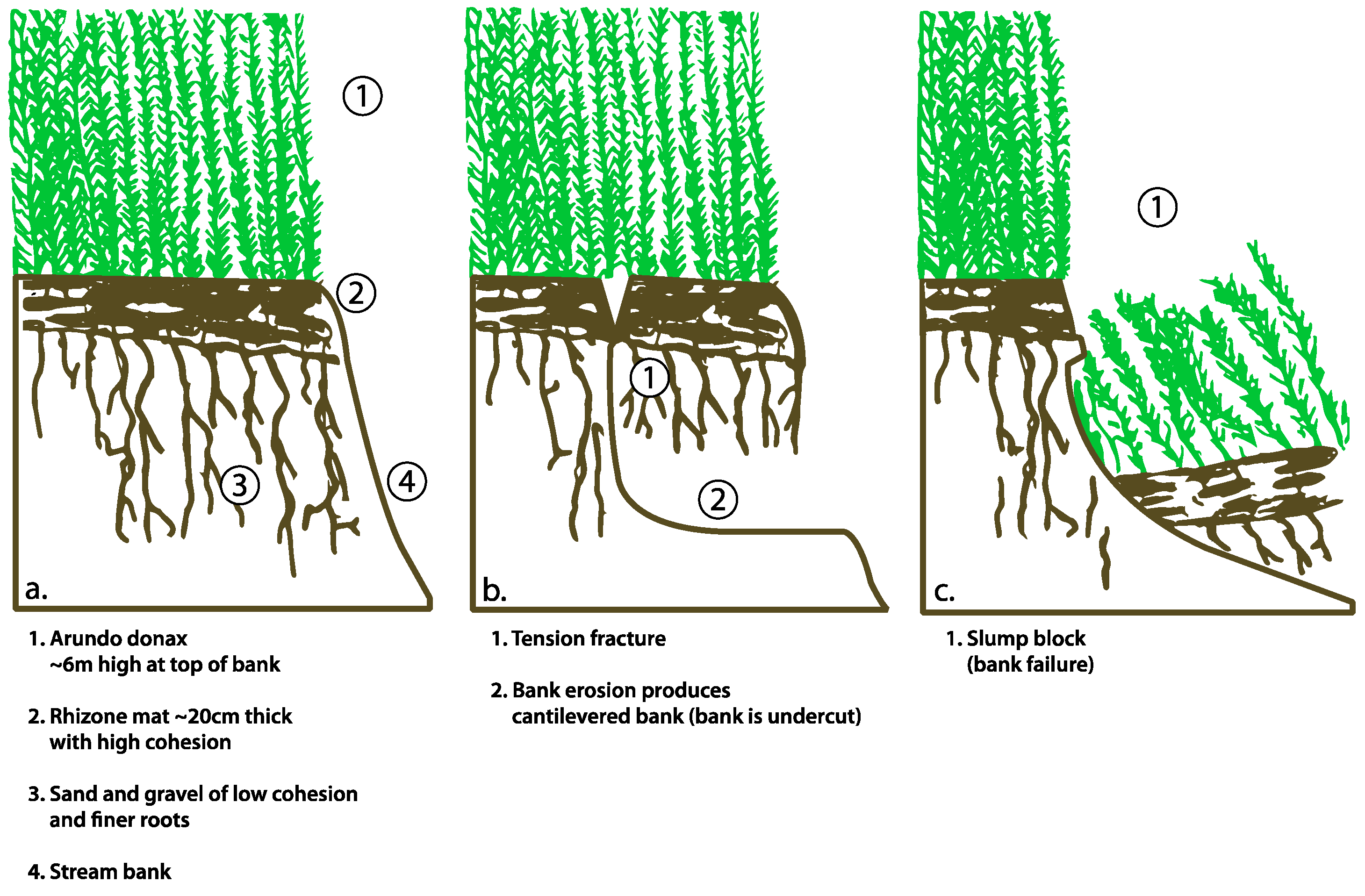 Geosciences 08 00304 g016