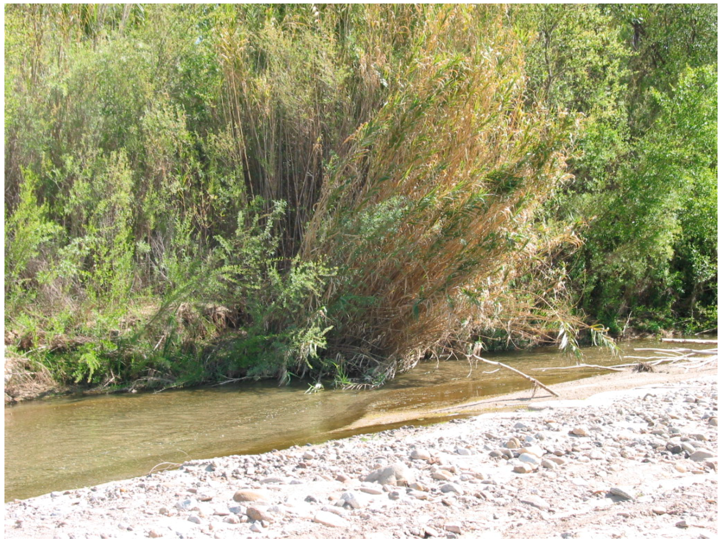 Geosciences 08 00304 g017