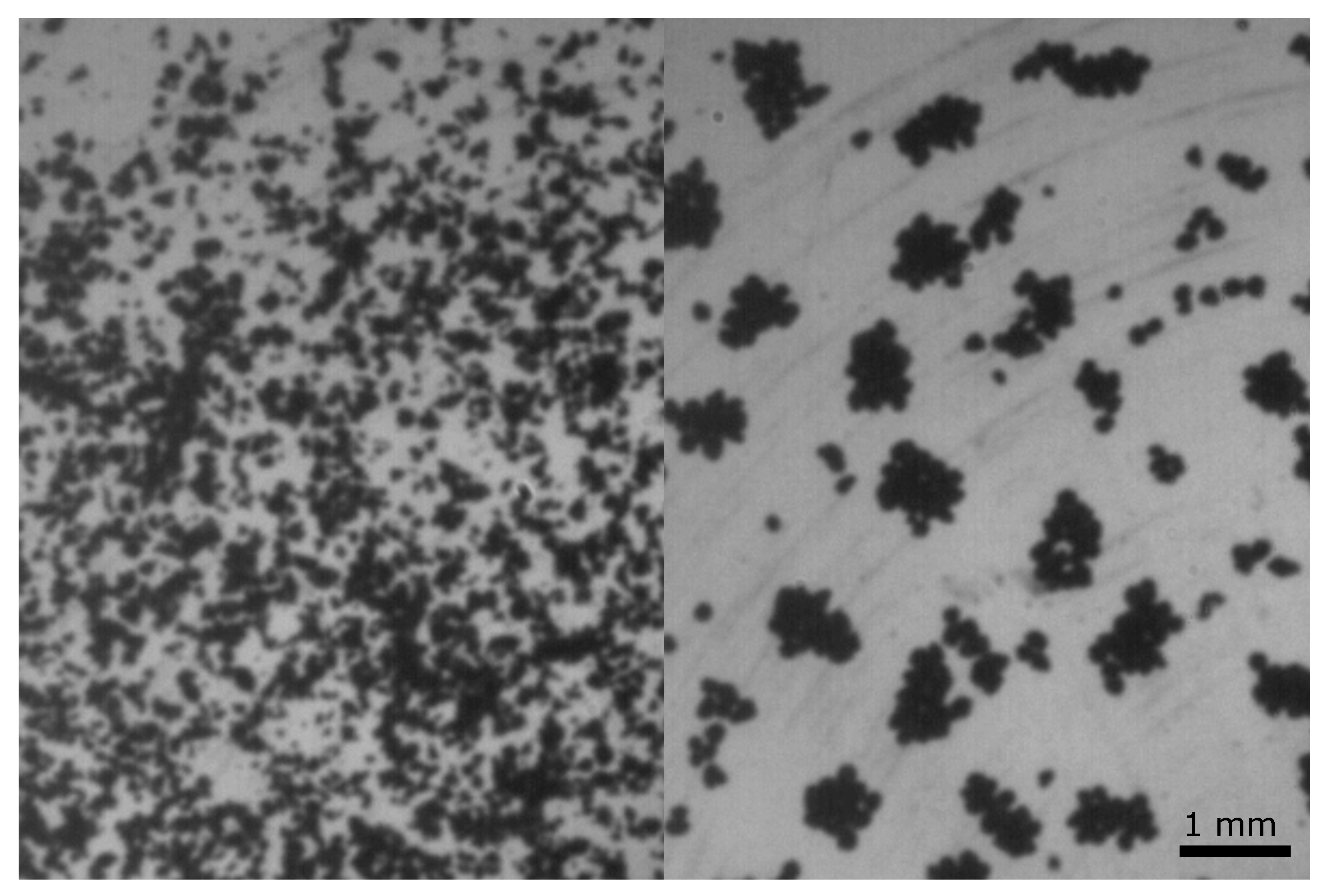 Geosciences 08 00310 g002