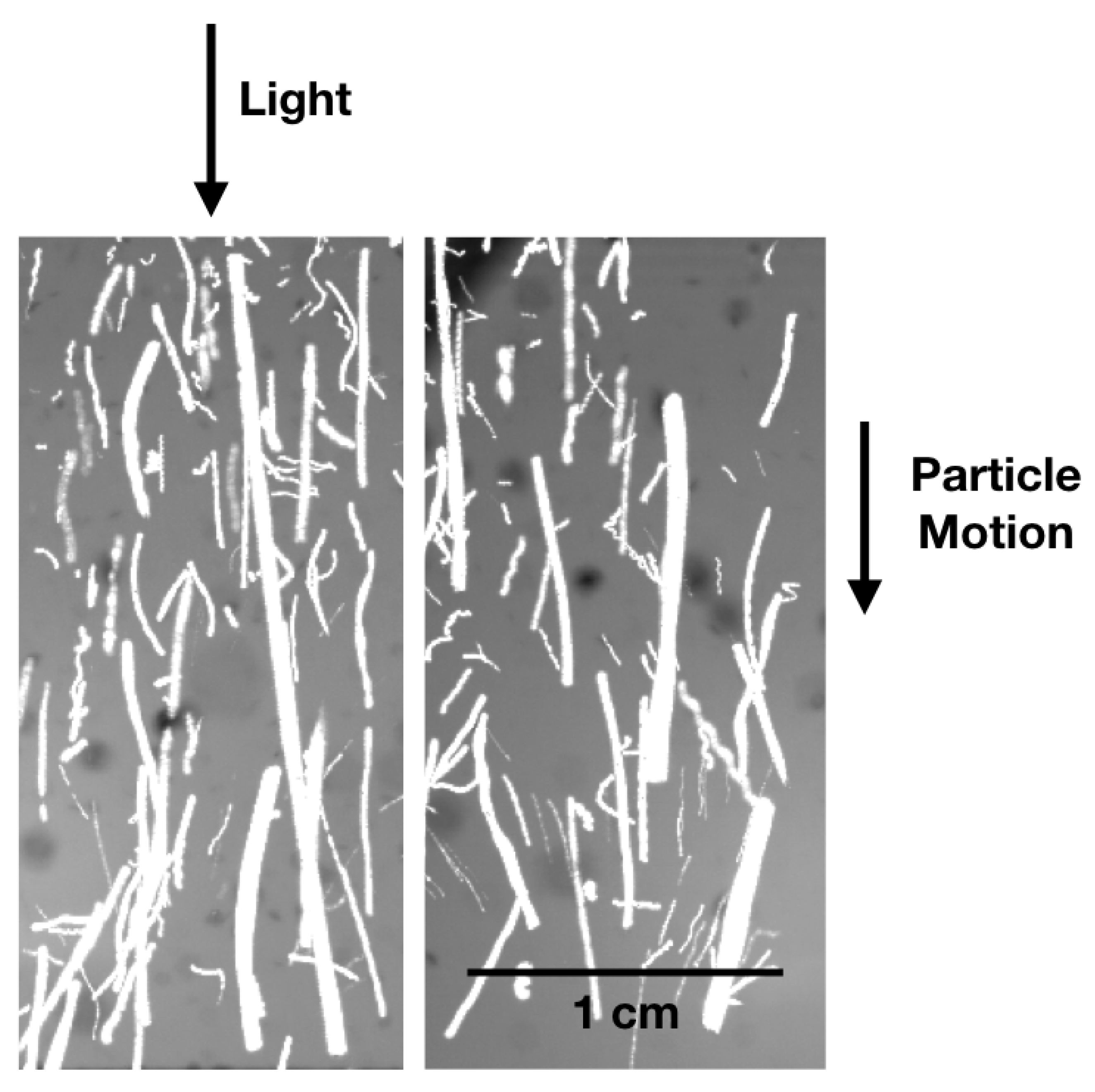Geosciences 08 00310 g008