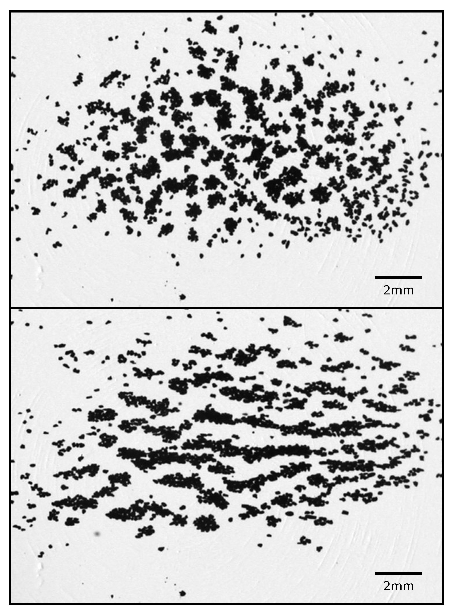 Geosciences 08 00310 g010