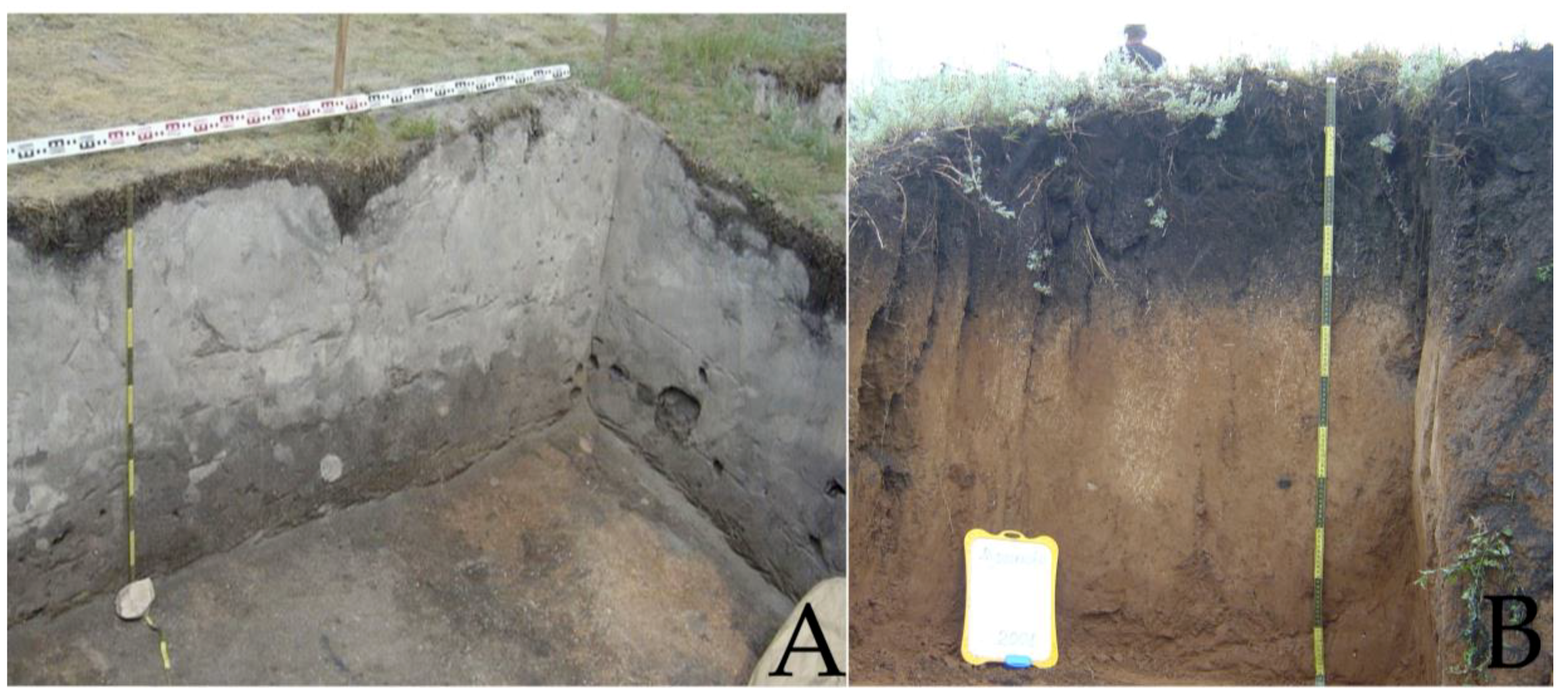 Geosciences 08 00313 g002