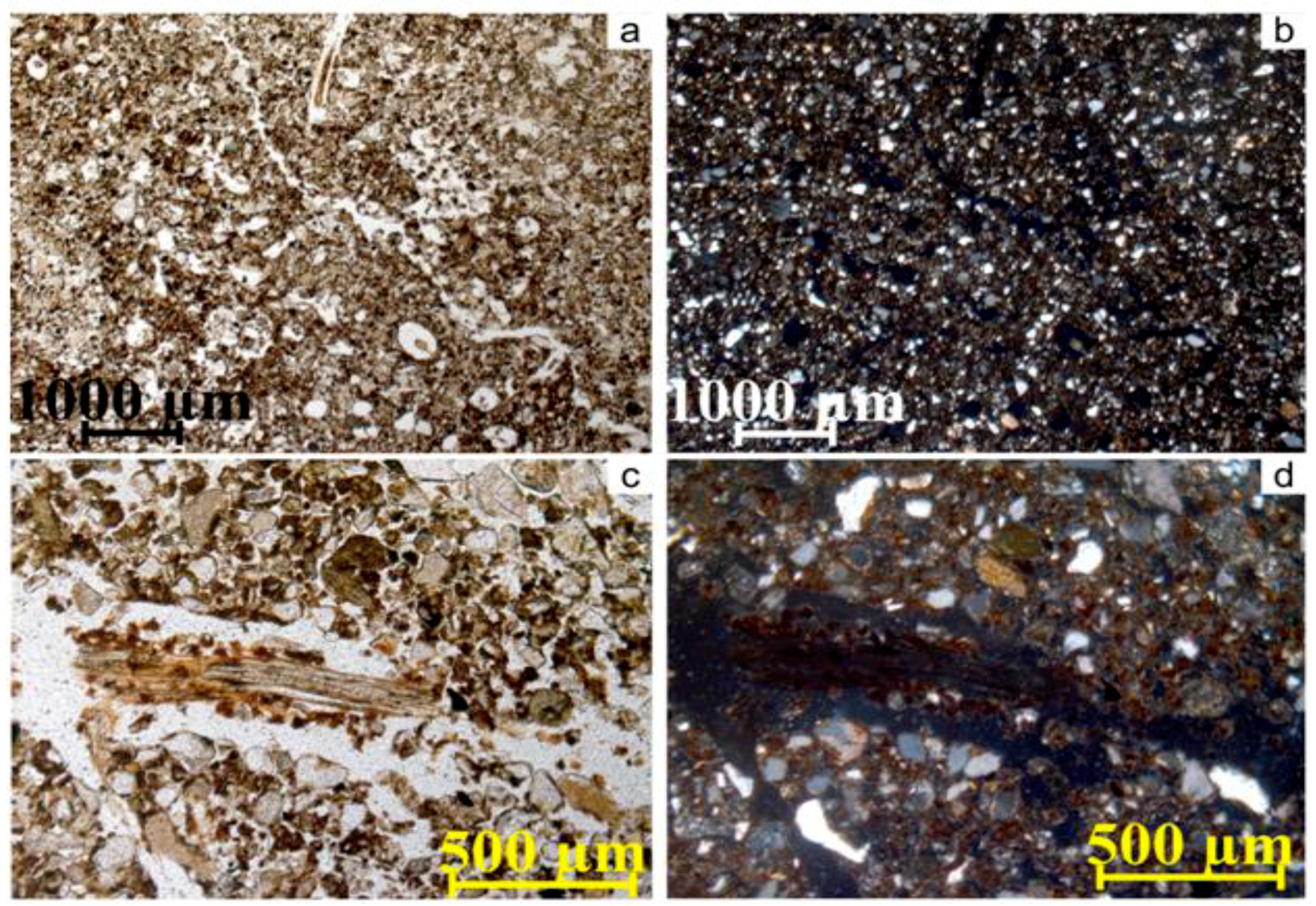Geosciences 08 00313 g003