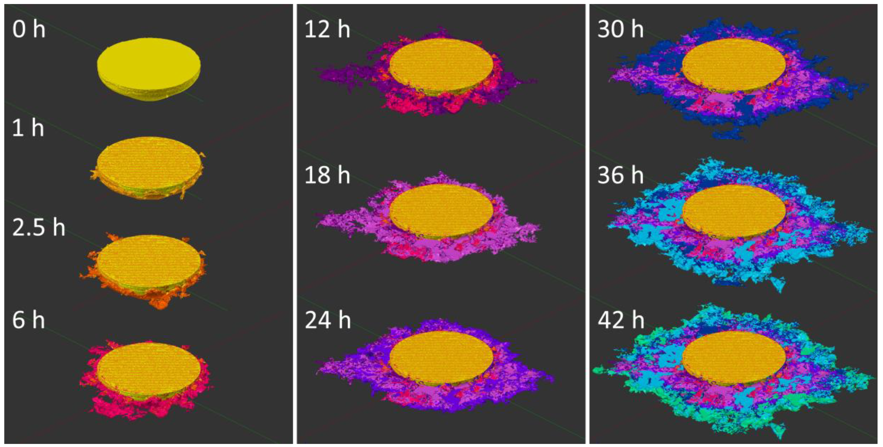 Geosciences 08 00360 g011