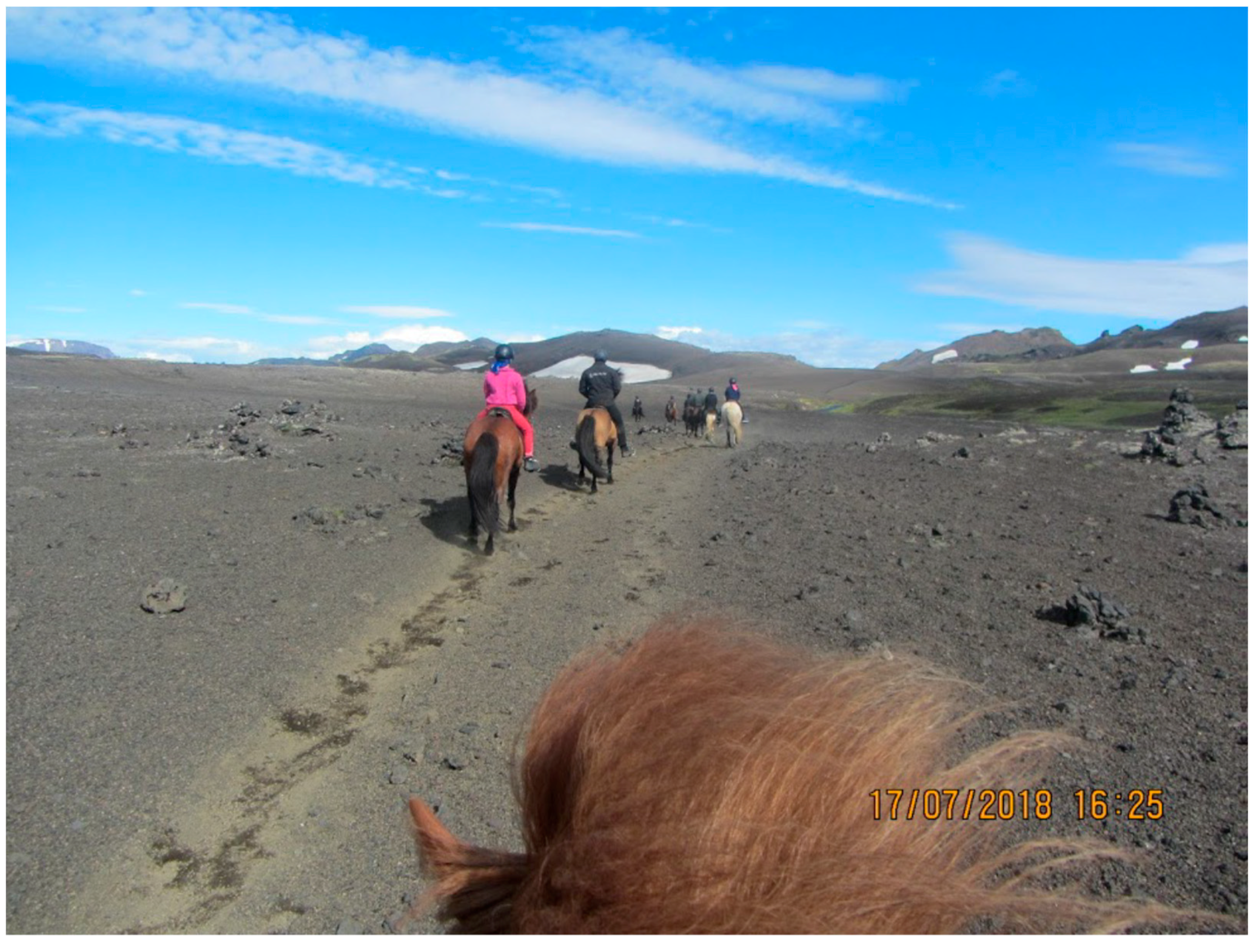 Geosciences 08 00376 g001