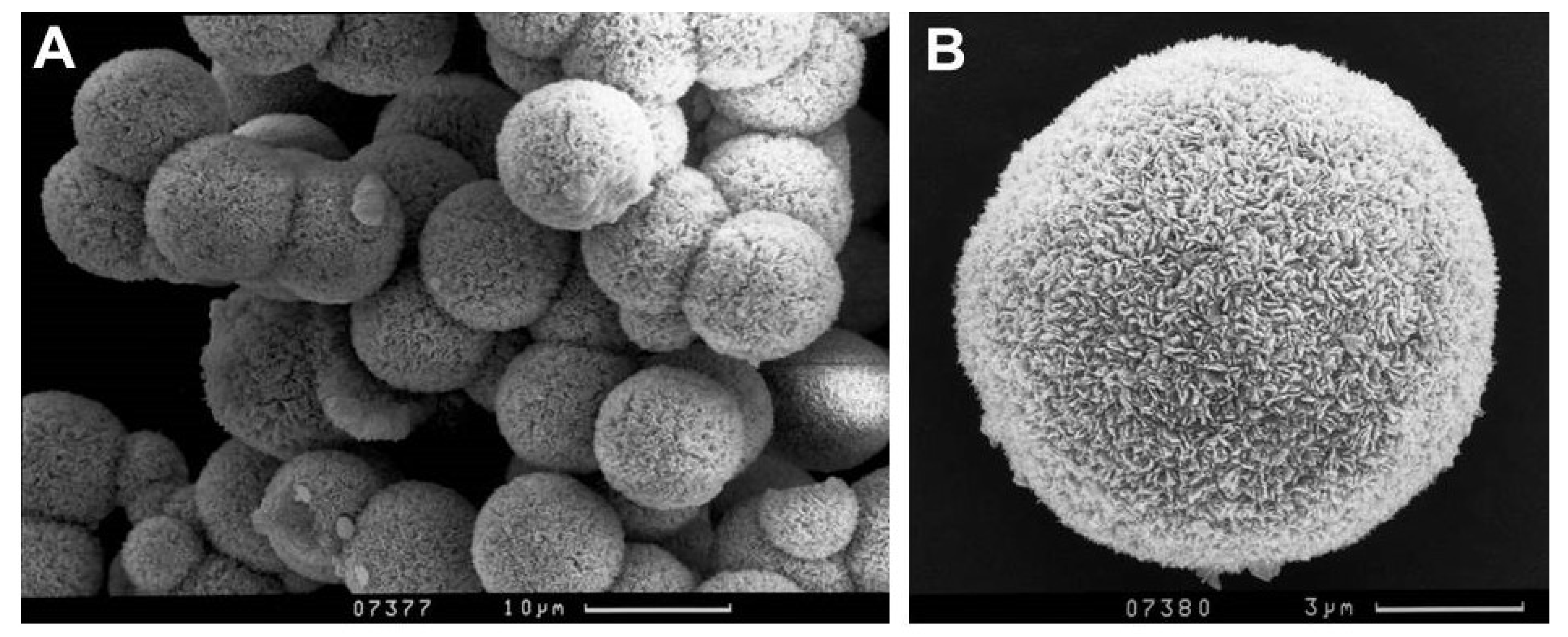 Geosciences 08 00391 g001