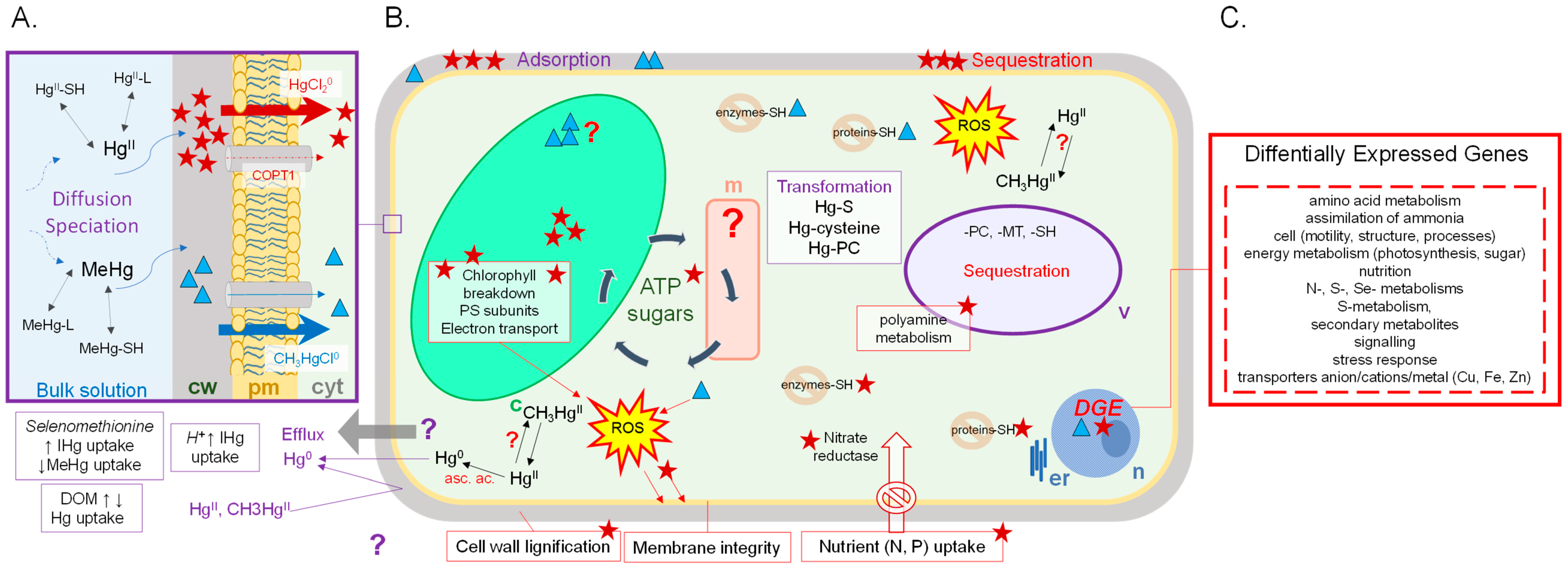 Geosciences 08 00393 g001