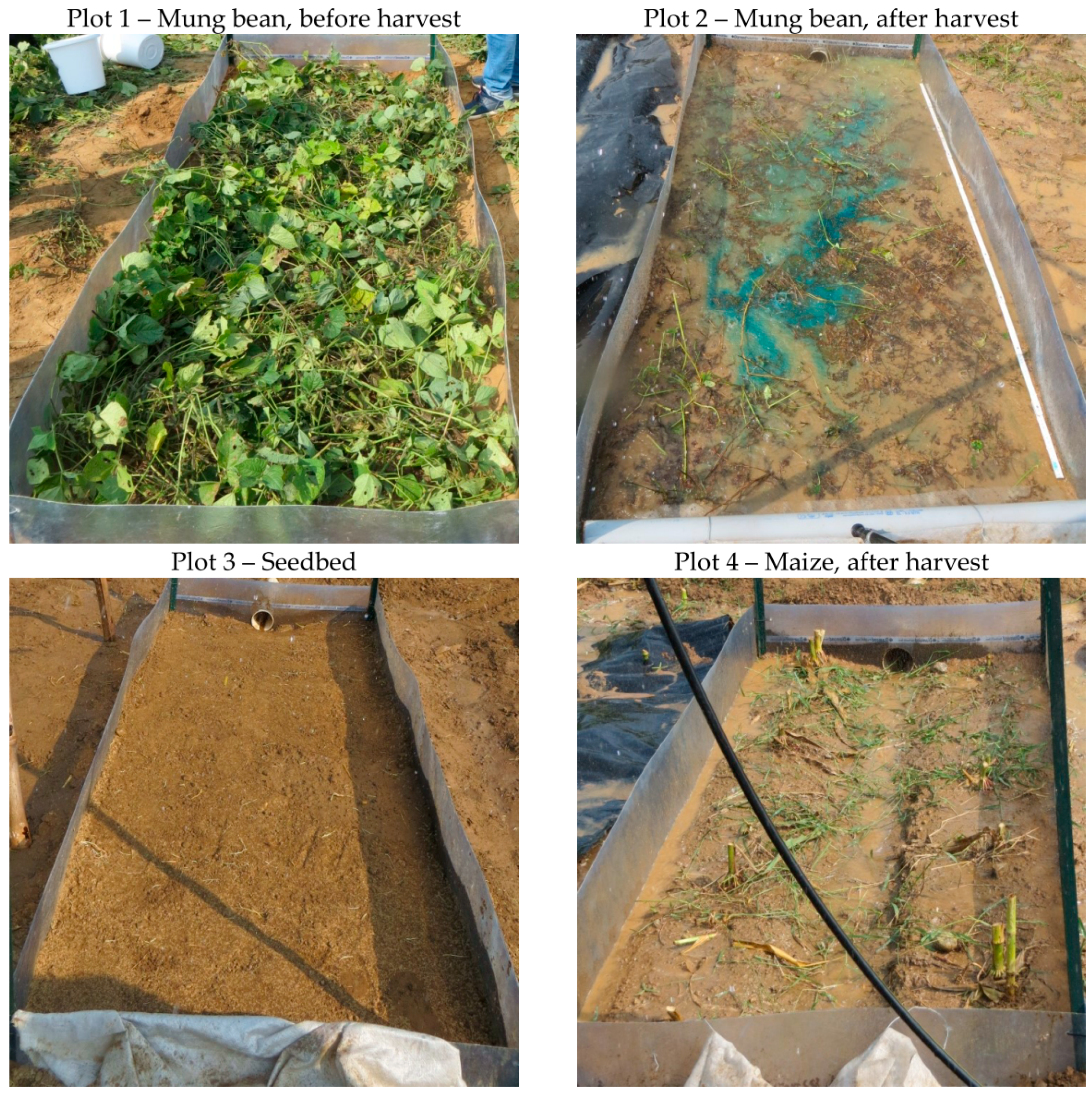 Geosciences 08 00396 g003