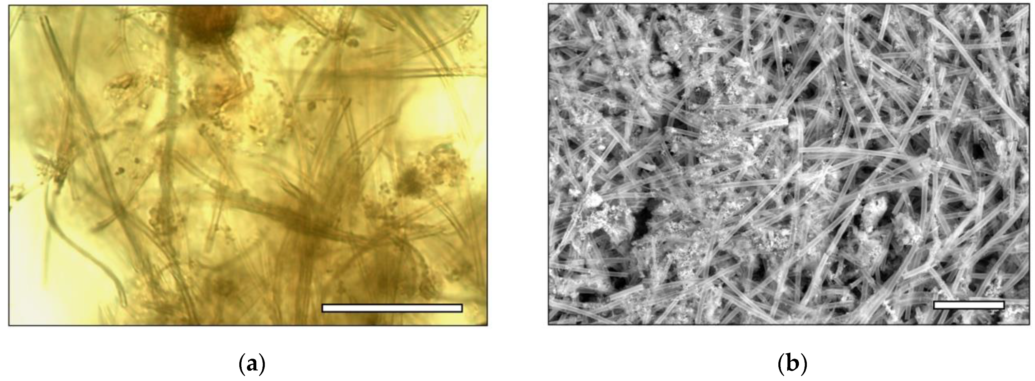 Geosciences 08 00423 g006