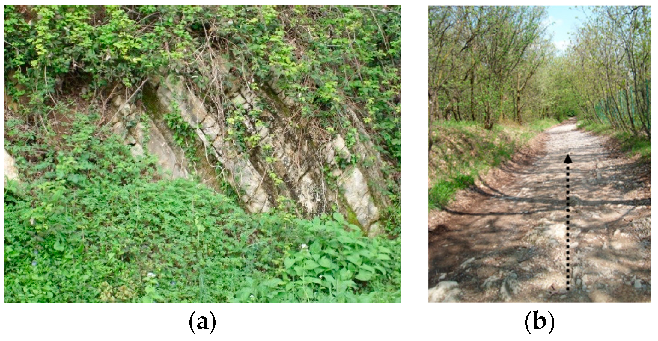 Geosciences 08 00425 g001