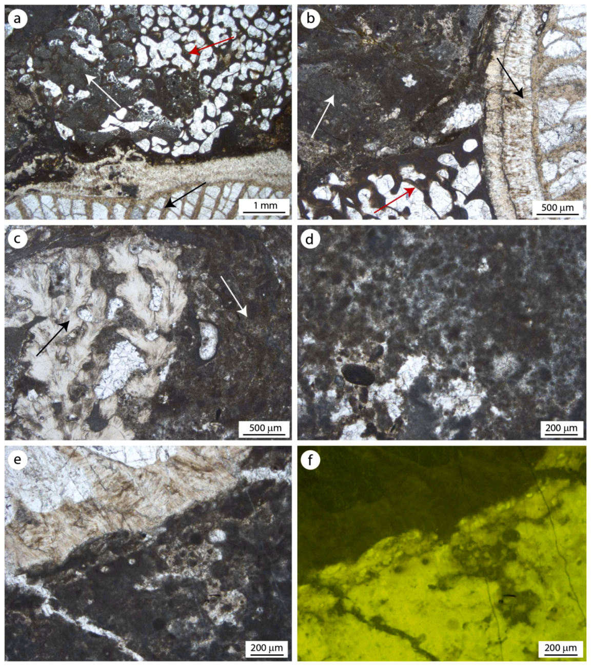 Geosciences 08 00451 g006