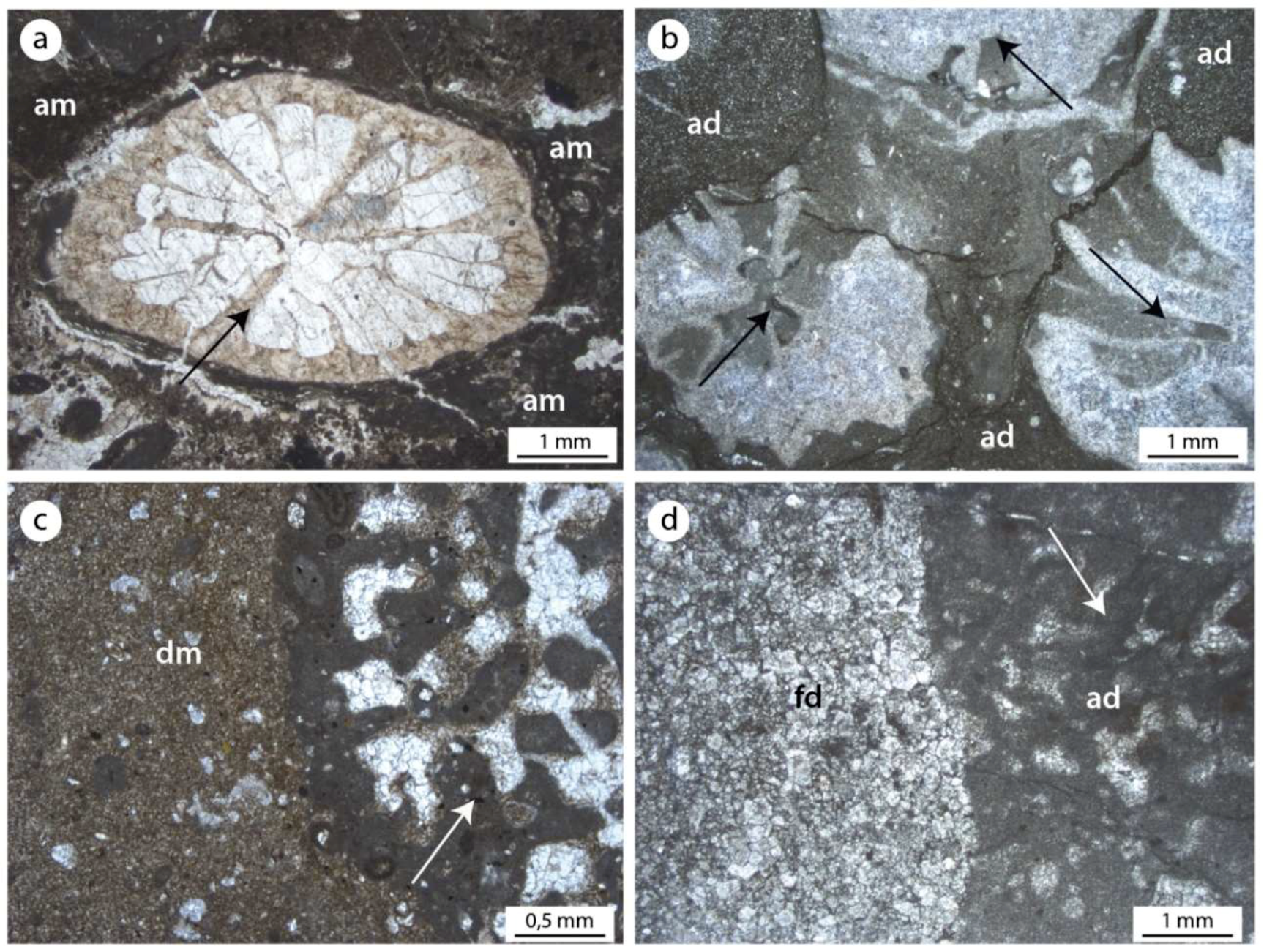 Geosciences 08 00451 g008