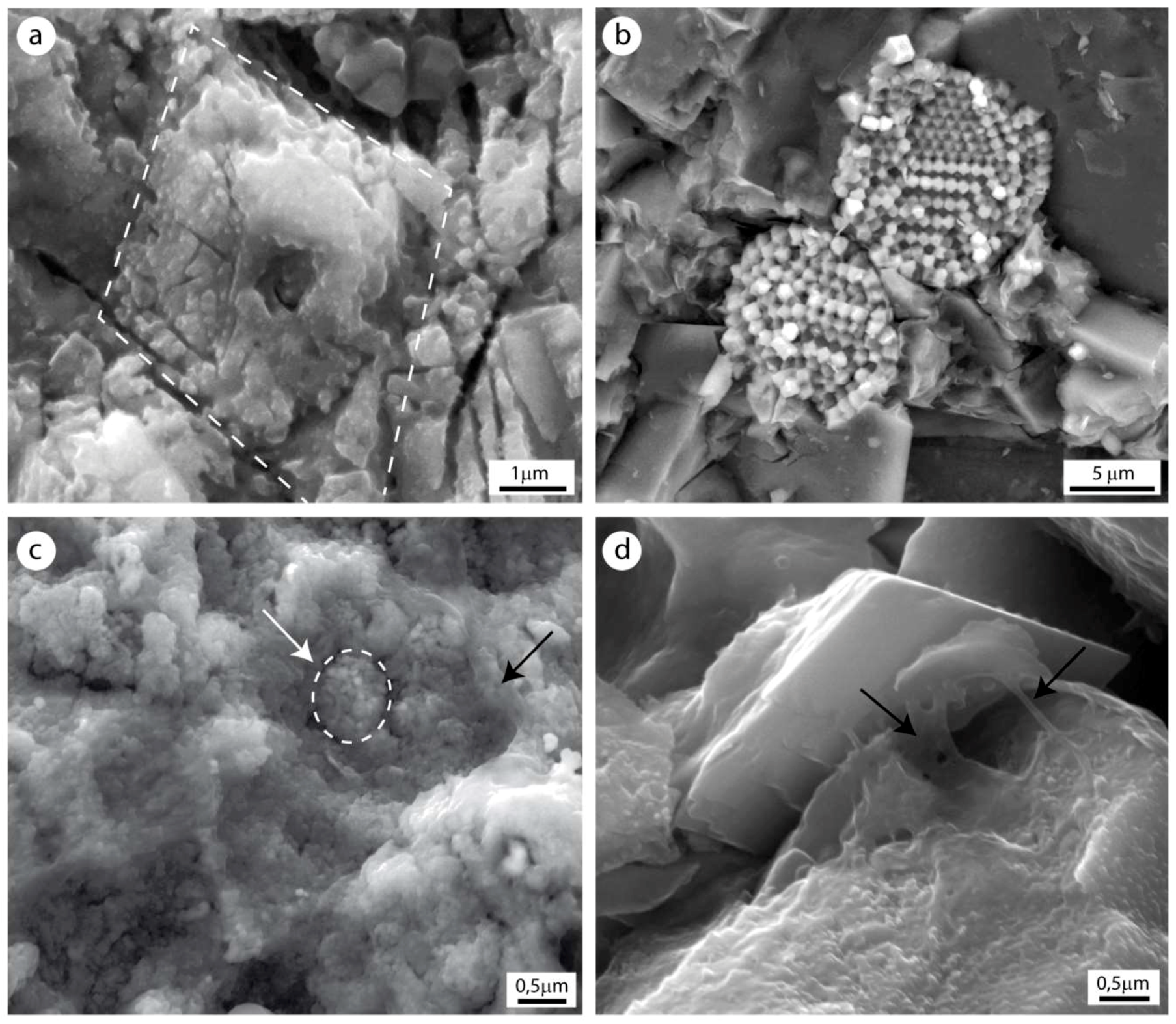 Geosciences 08 00451 g010