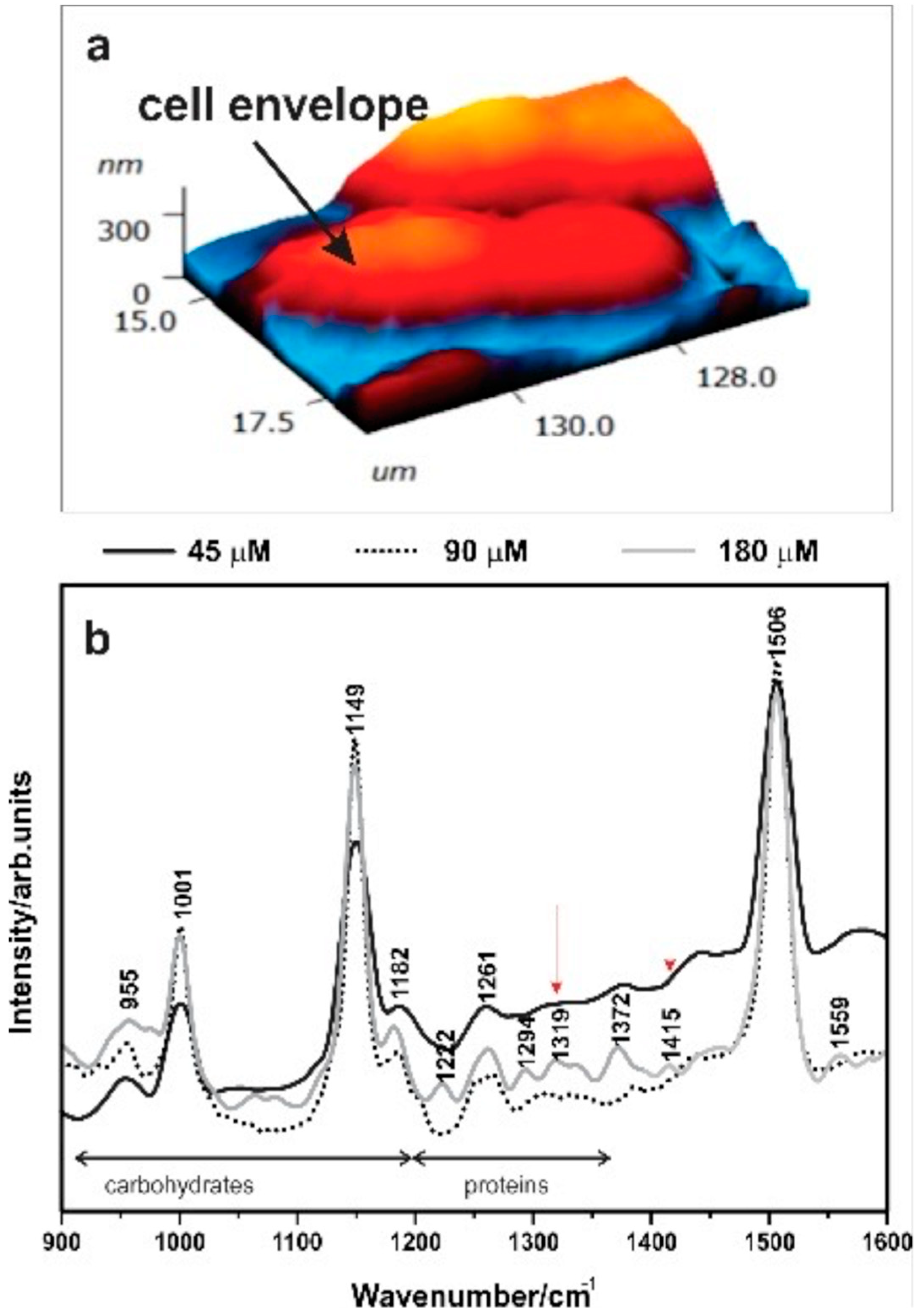 Geosciences 08 00471 g003