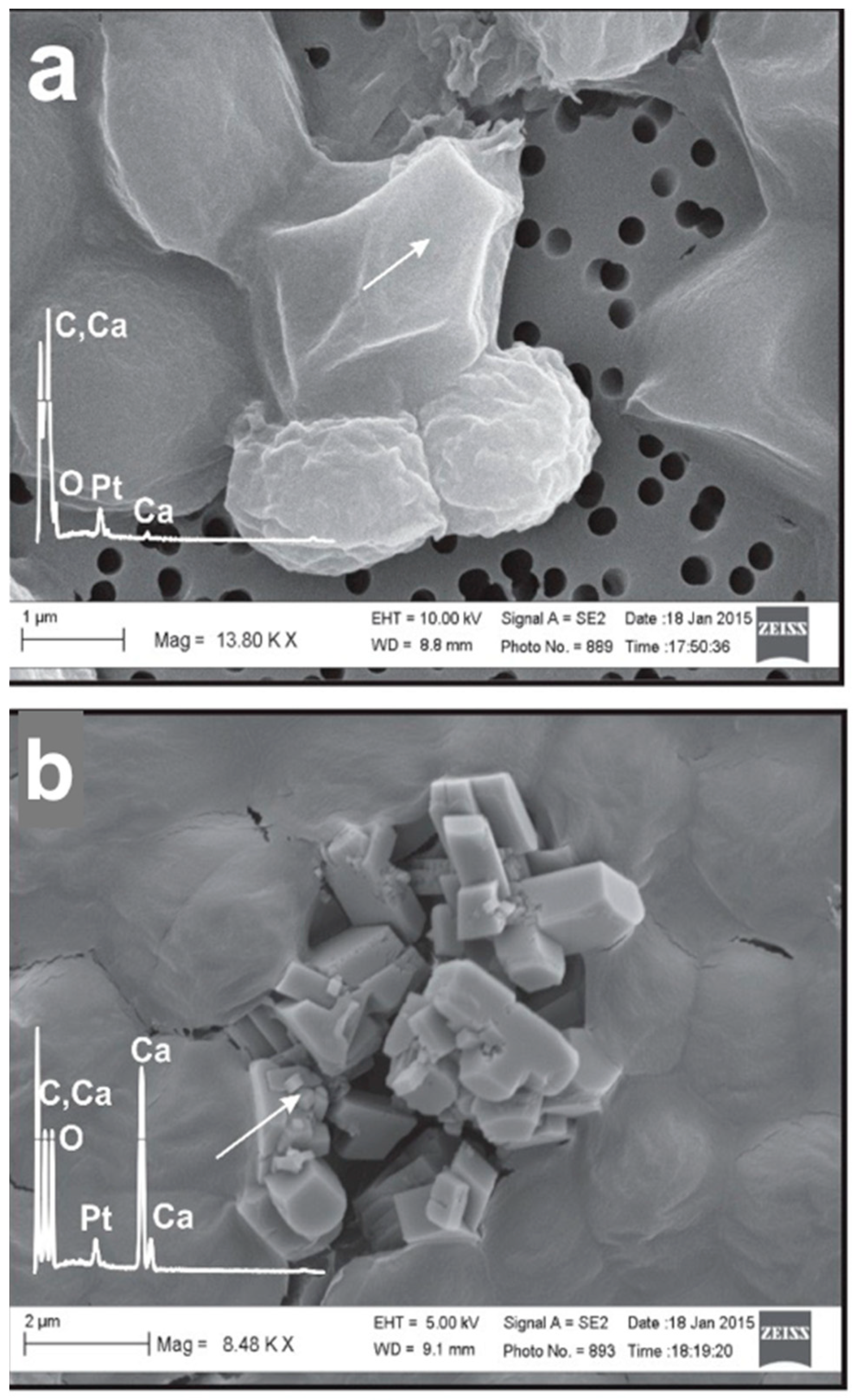 Geosciences 08 00471 g005a