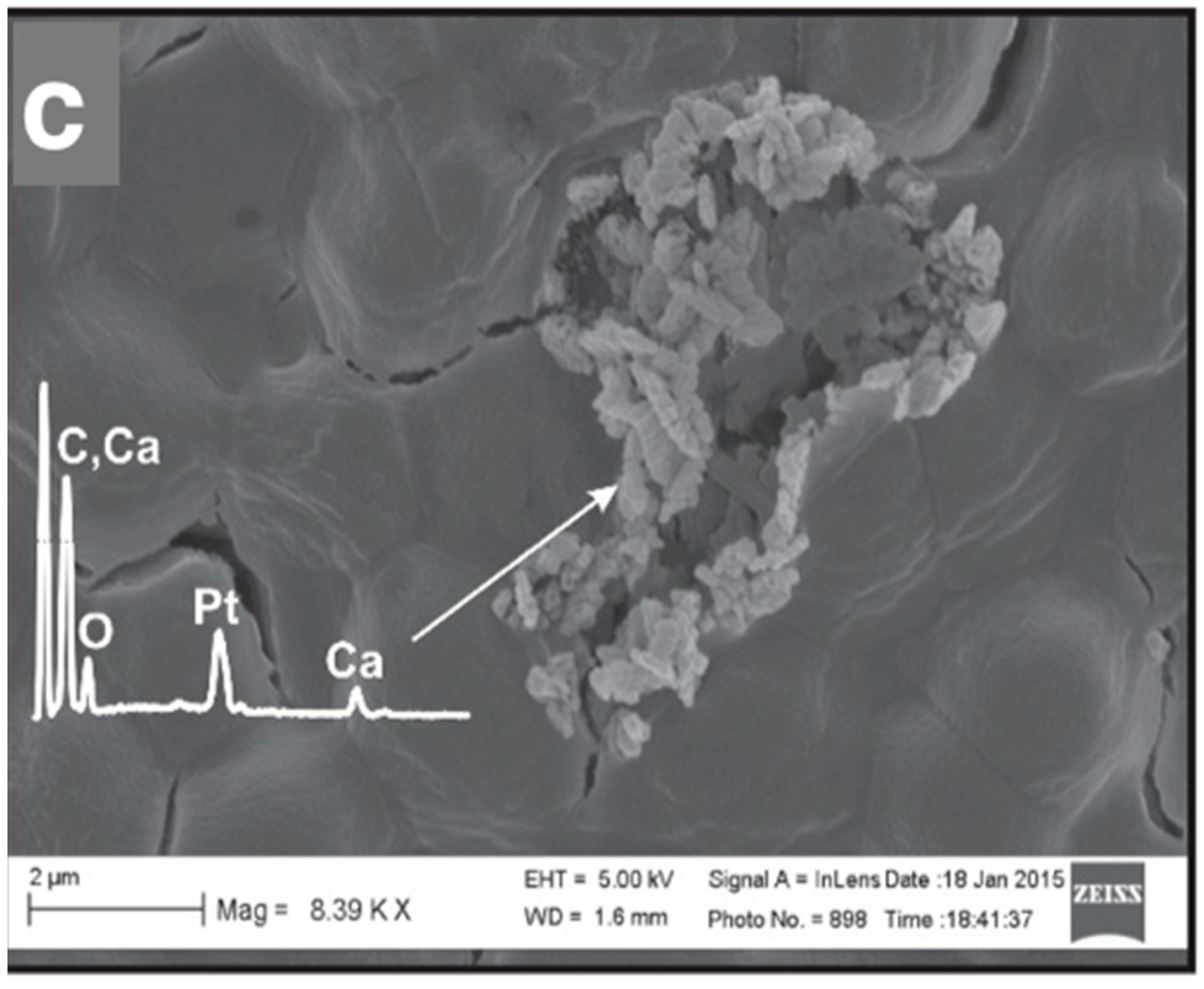 Geosciences 08 00471 g005b