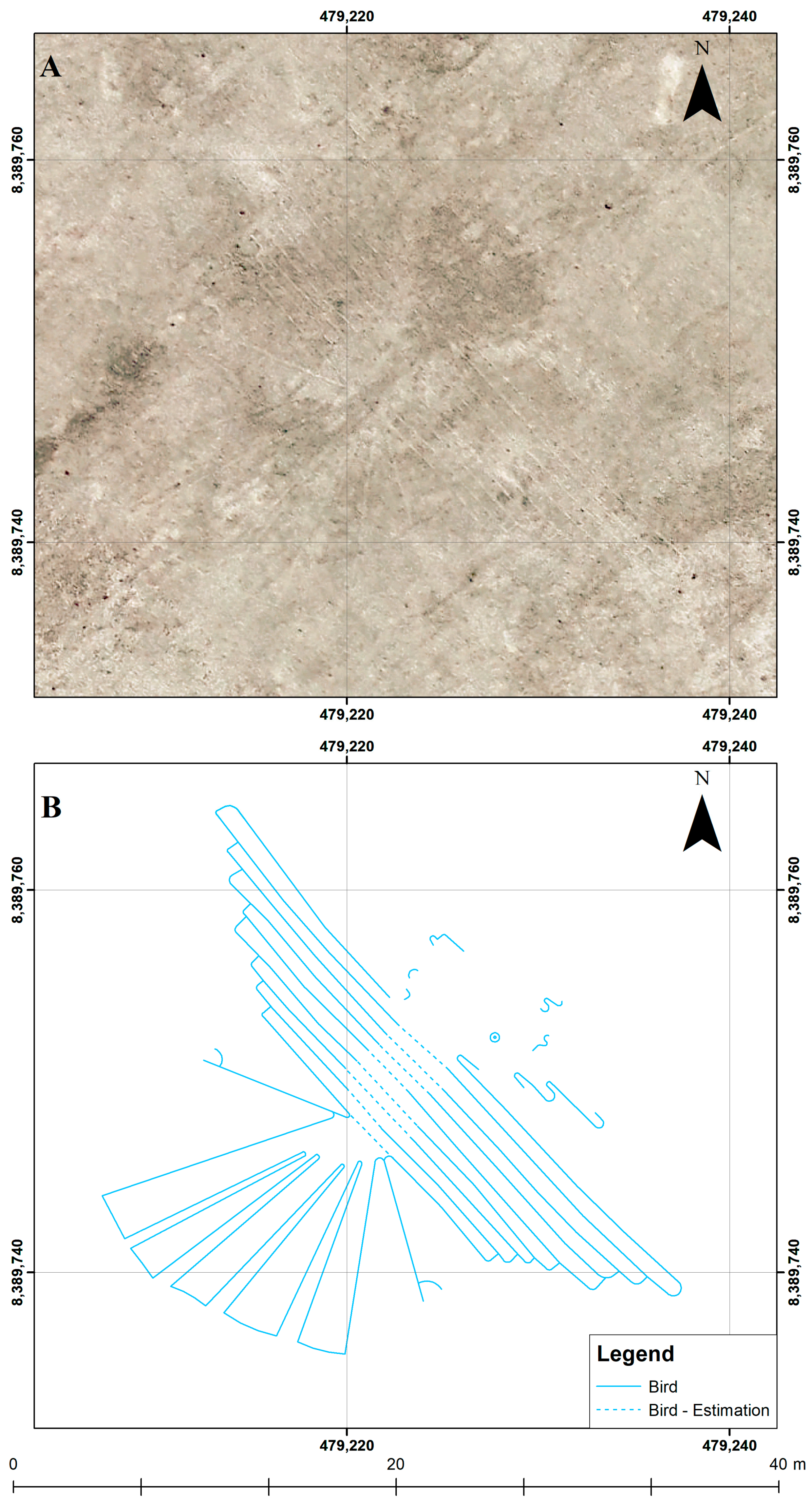Geosciences 08 00479 g007 Geosciences 08 00479 g007