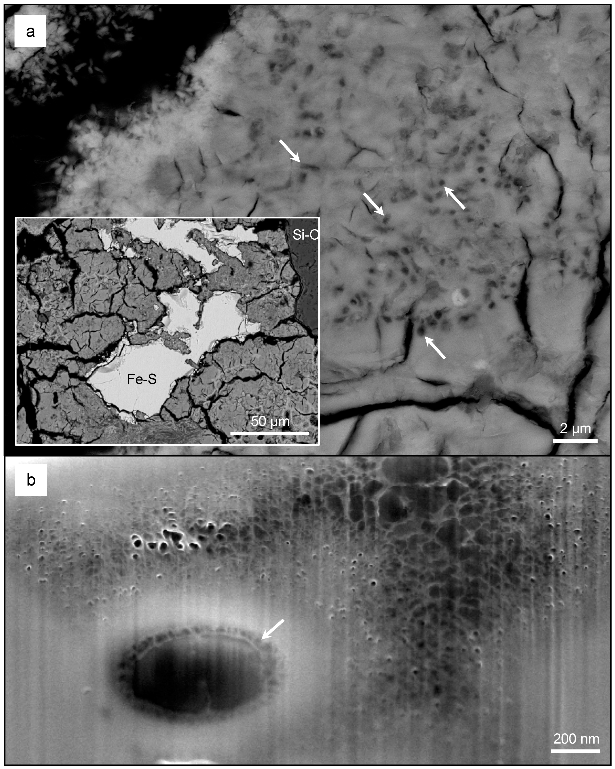 Geosciences 08 00480 g007