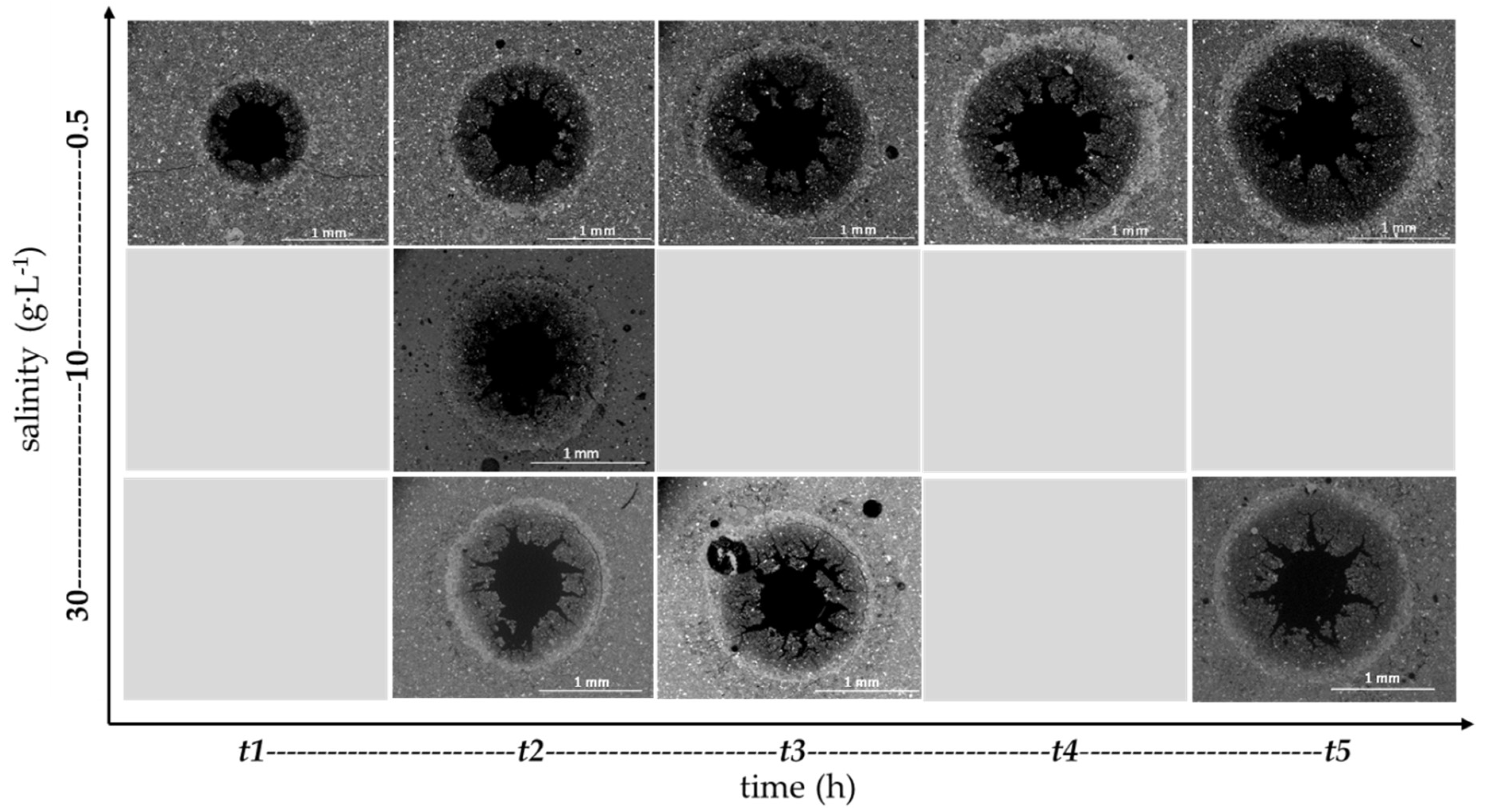 Geosciences 08 00490 g004