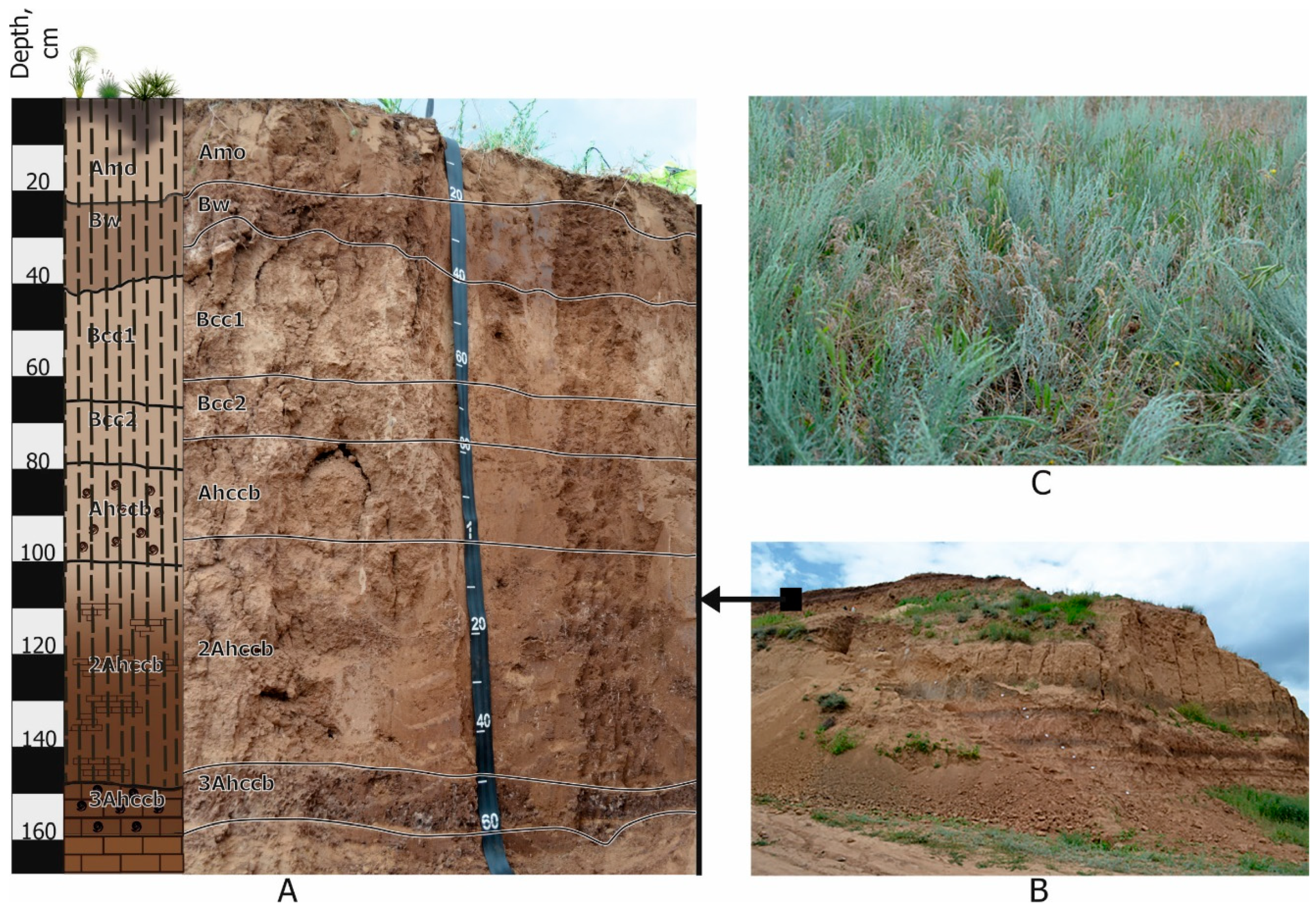 Geosciences 08 00492 g003