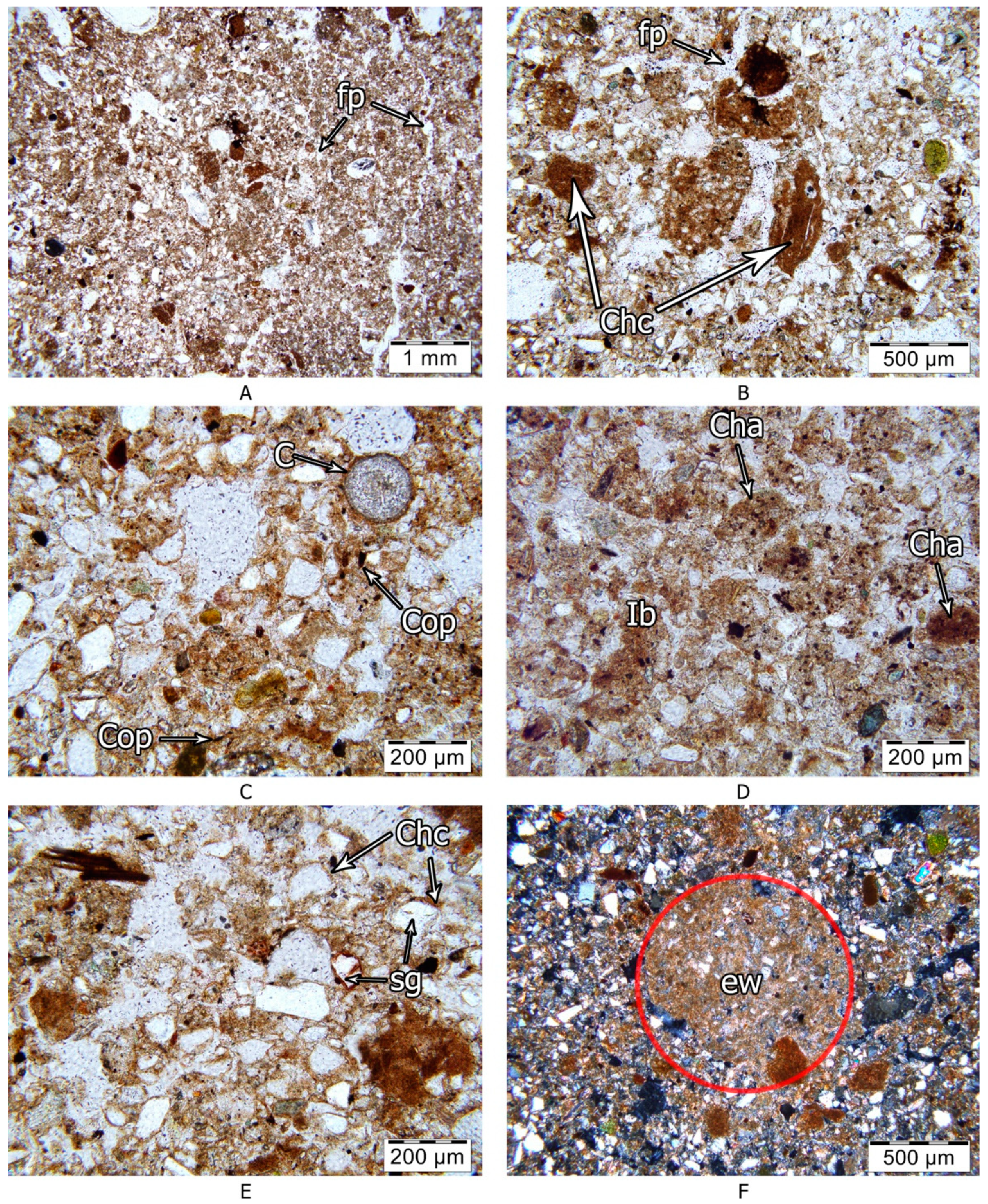 Geosciences 08 00492 g007
