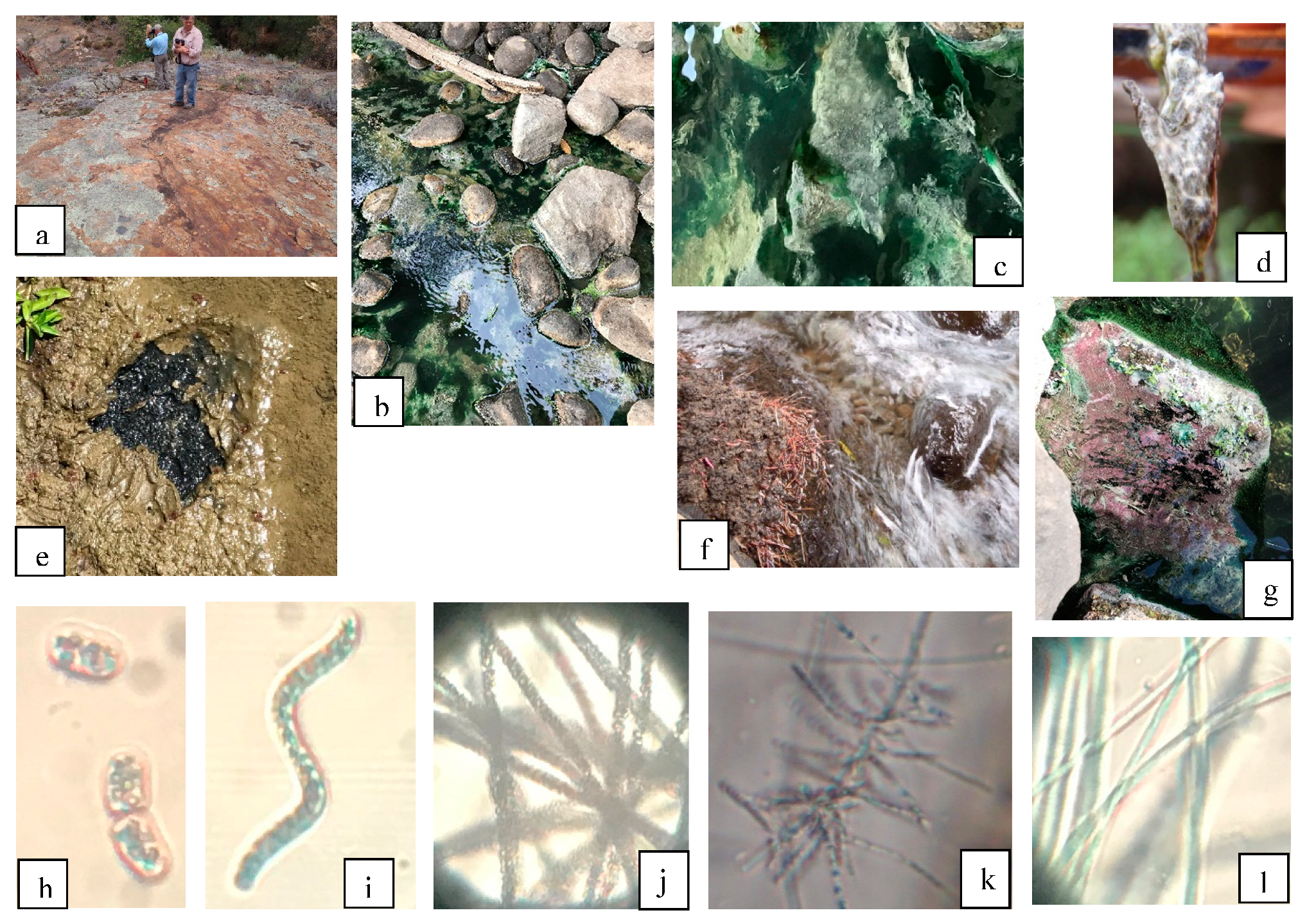 Geosciences 08 00495 g003