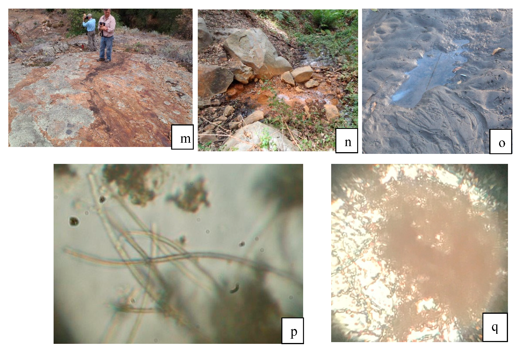 Geosciences 08 00495 g005