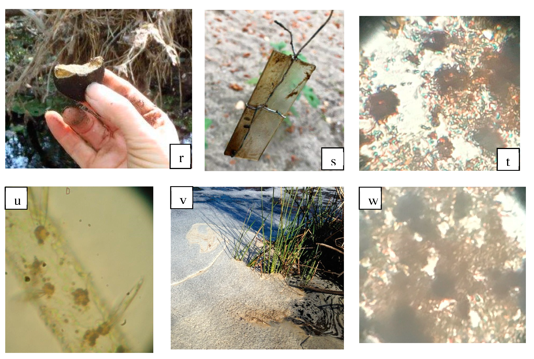 Geosciences 08 00495 g007