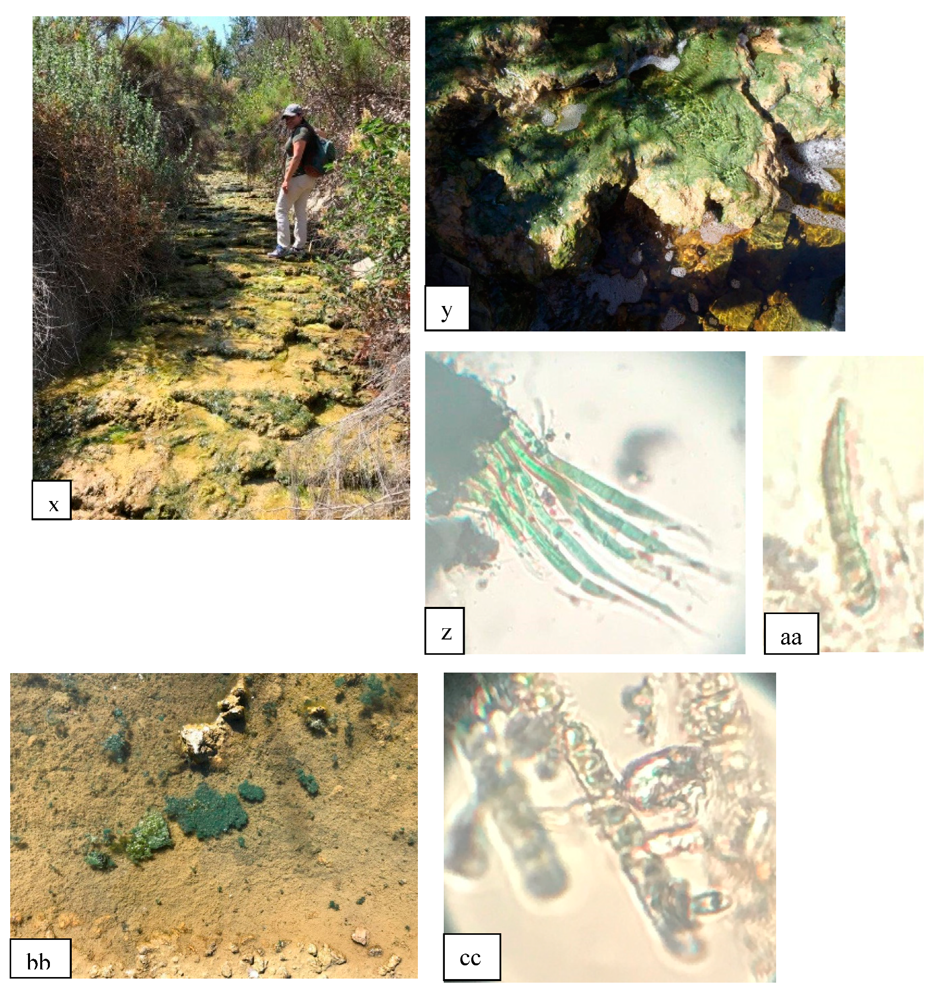 Geosciences 08 00495 g009