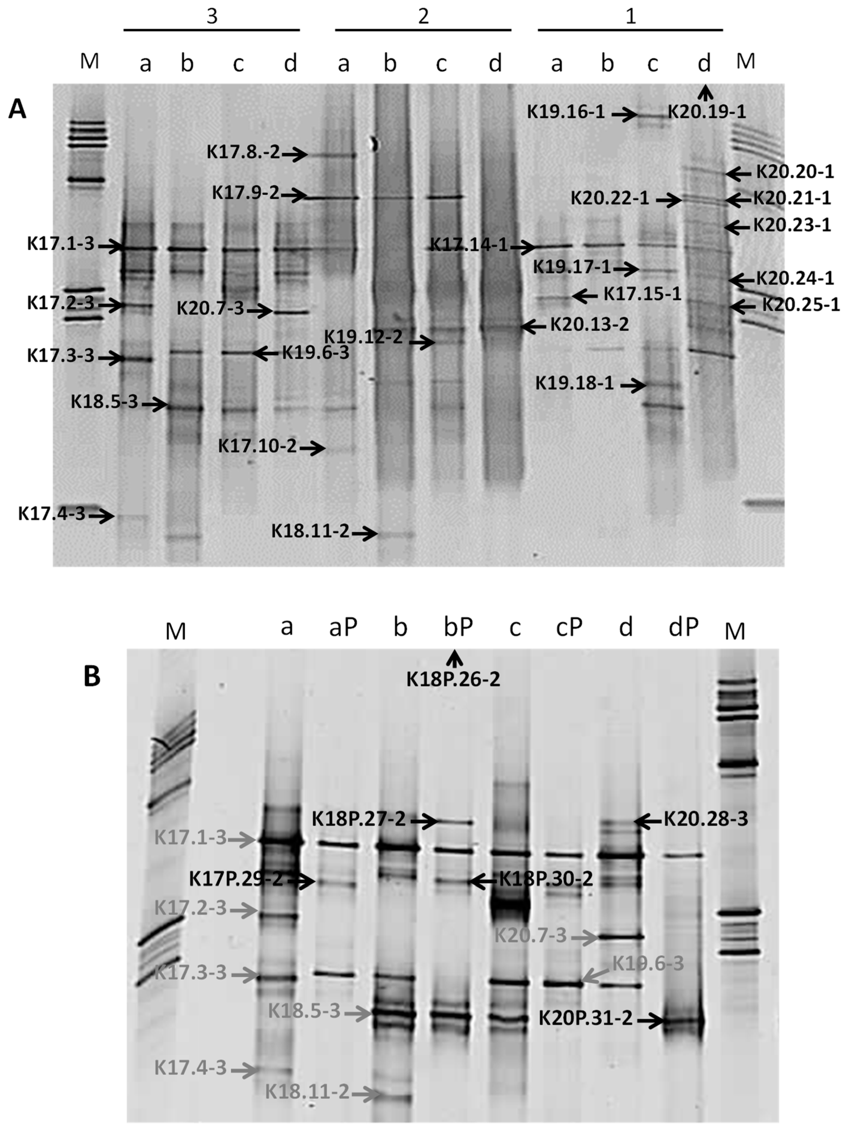 Geosciences 09 00003 g005